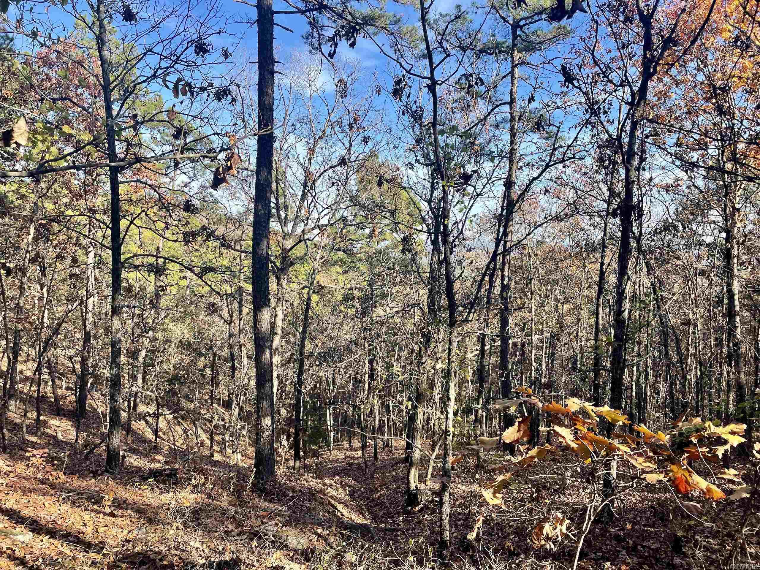 Not in Subdivision - Land