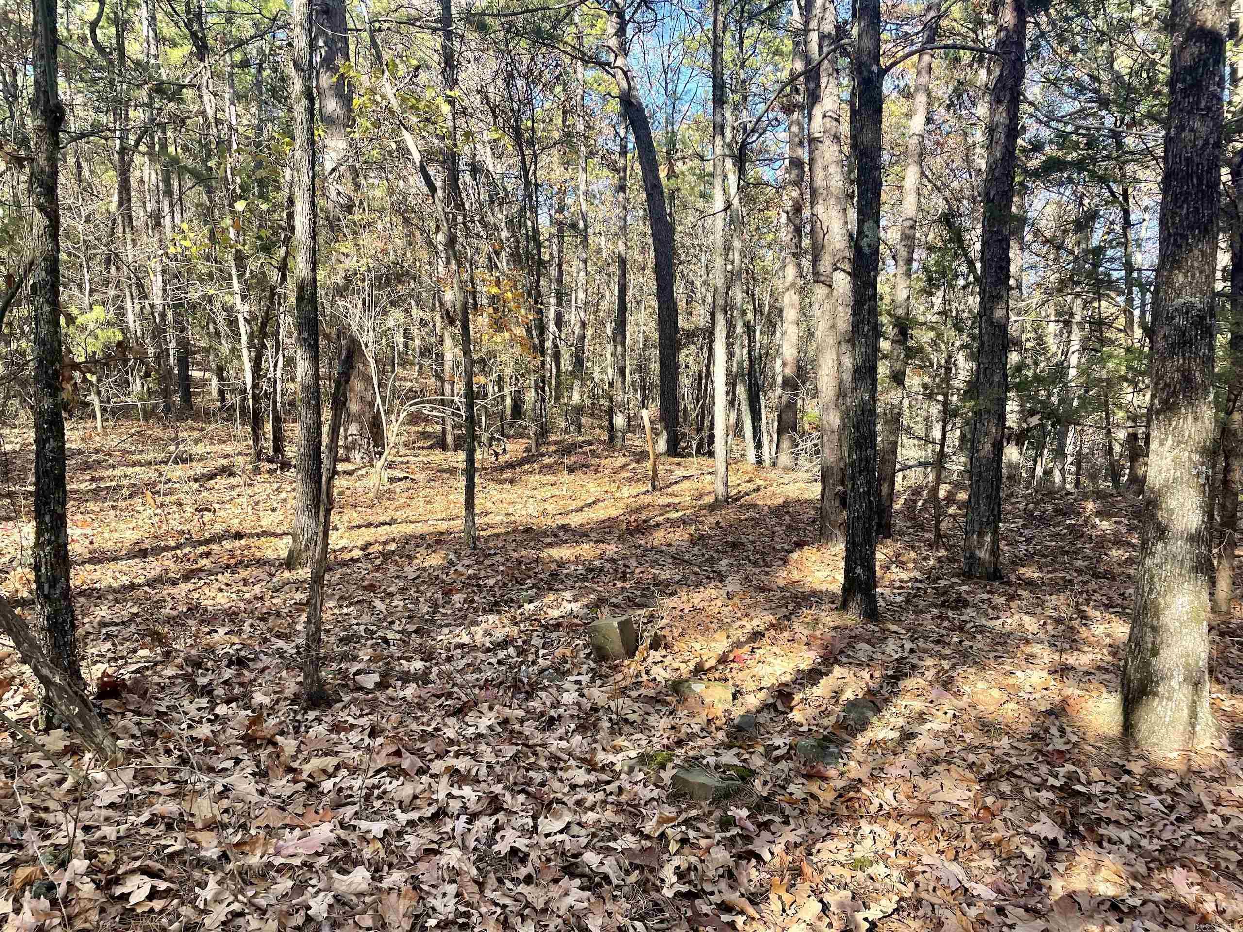 Not in Subdivision - Land