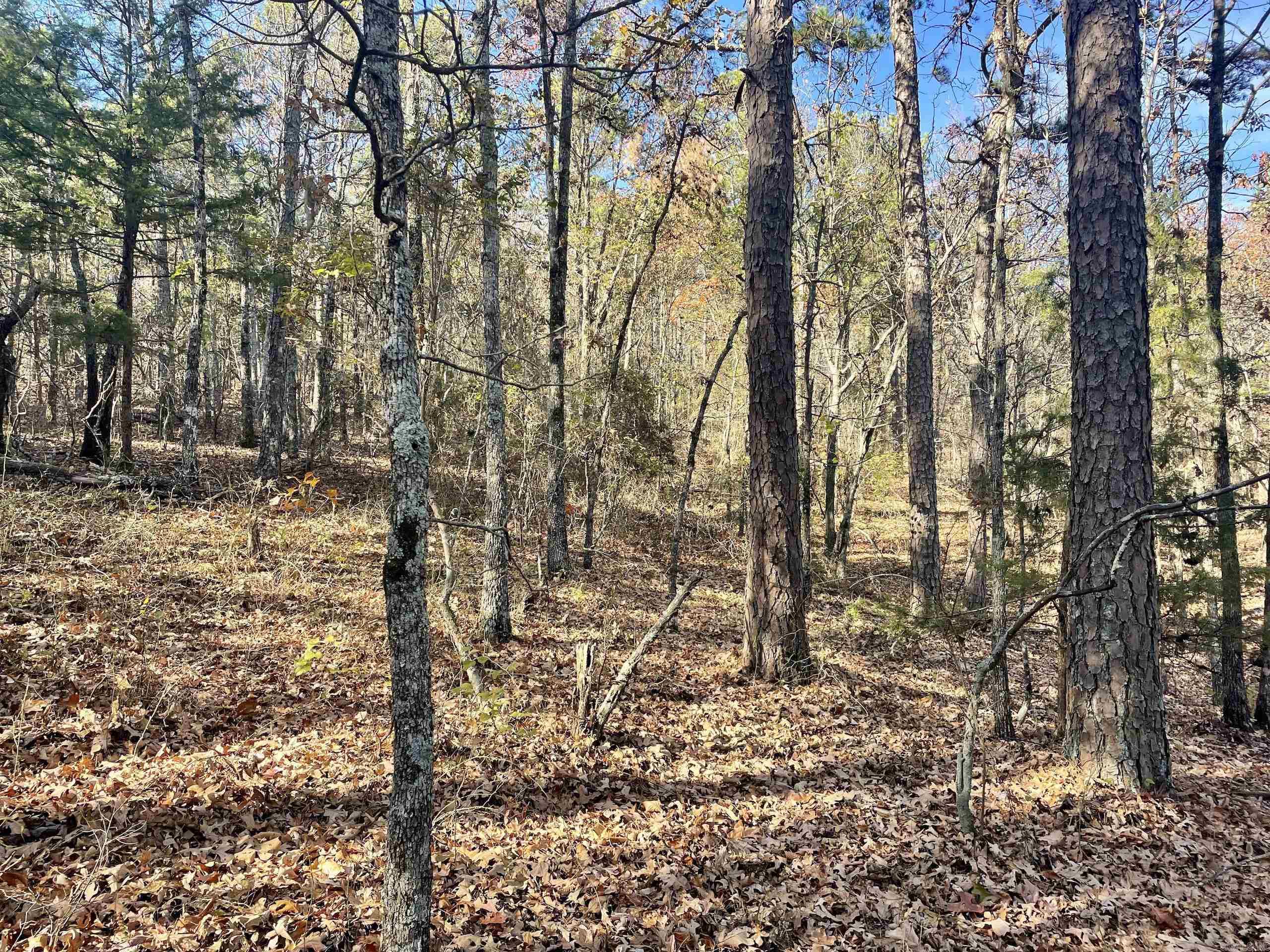 Not in Subdivision - Land