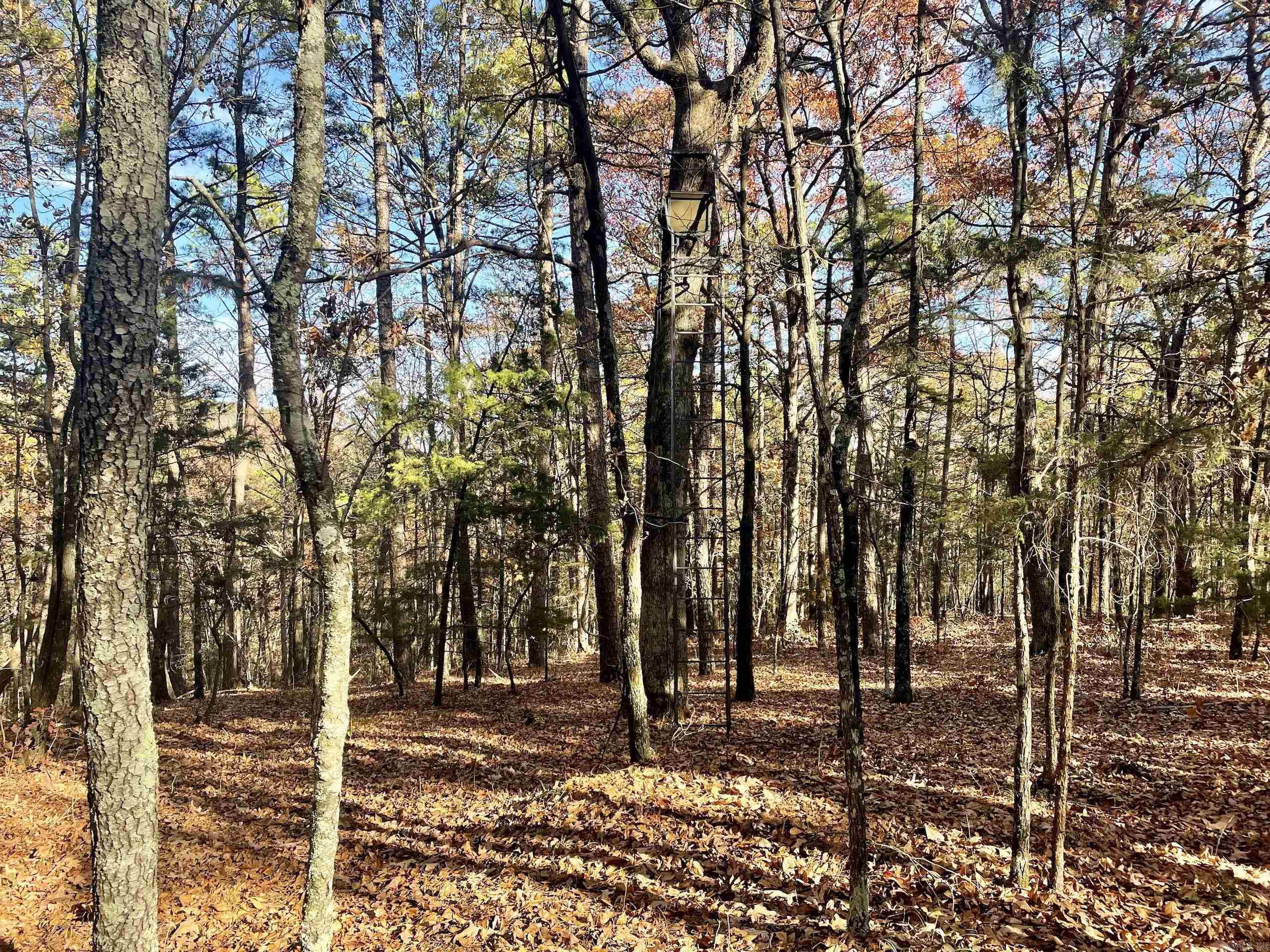 Not in Subdivision - Land