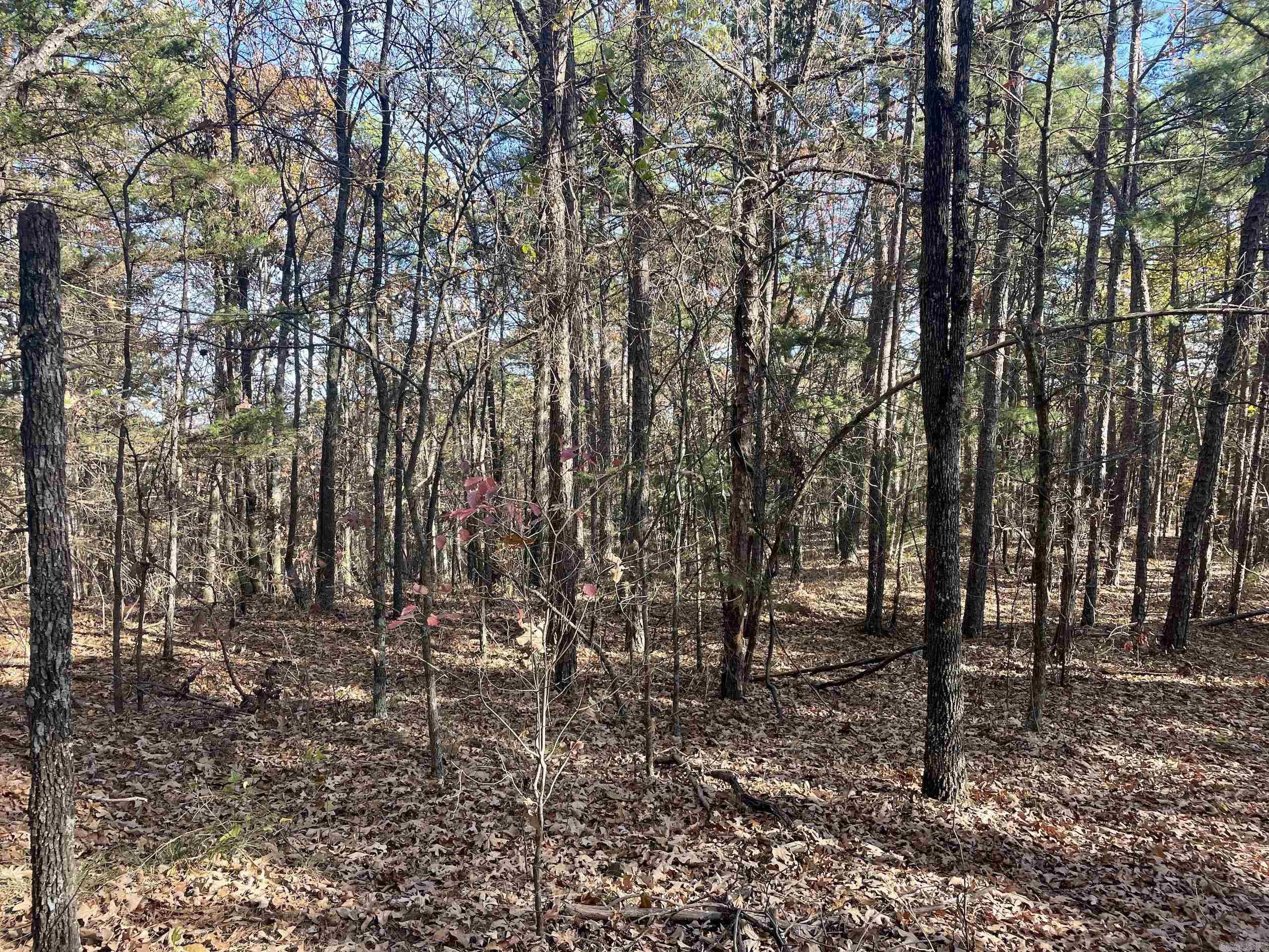 Not in Subdivision - Land