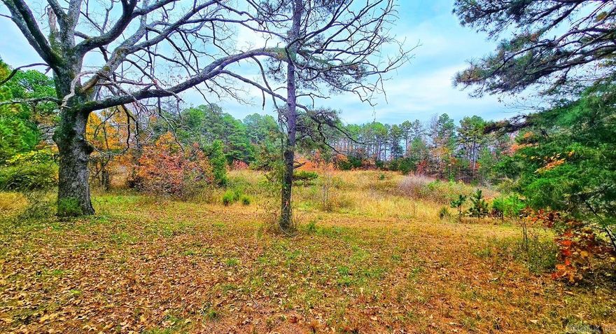 Beautiful 6 acres + or - just minutes from Clinton, Arkansas, with lots of small-town America amenities, with a great building site with a view of the pond and towering pine trees, with all utilities at the road. The Buffalo National River and Greers Ferry Lake are nearby. Escape to your own slice of the Ozark Mountains in rural Arkansas to enjoy hikes and view wildlife that crosses this property. This is a must-see and may not last long.