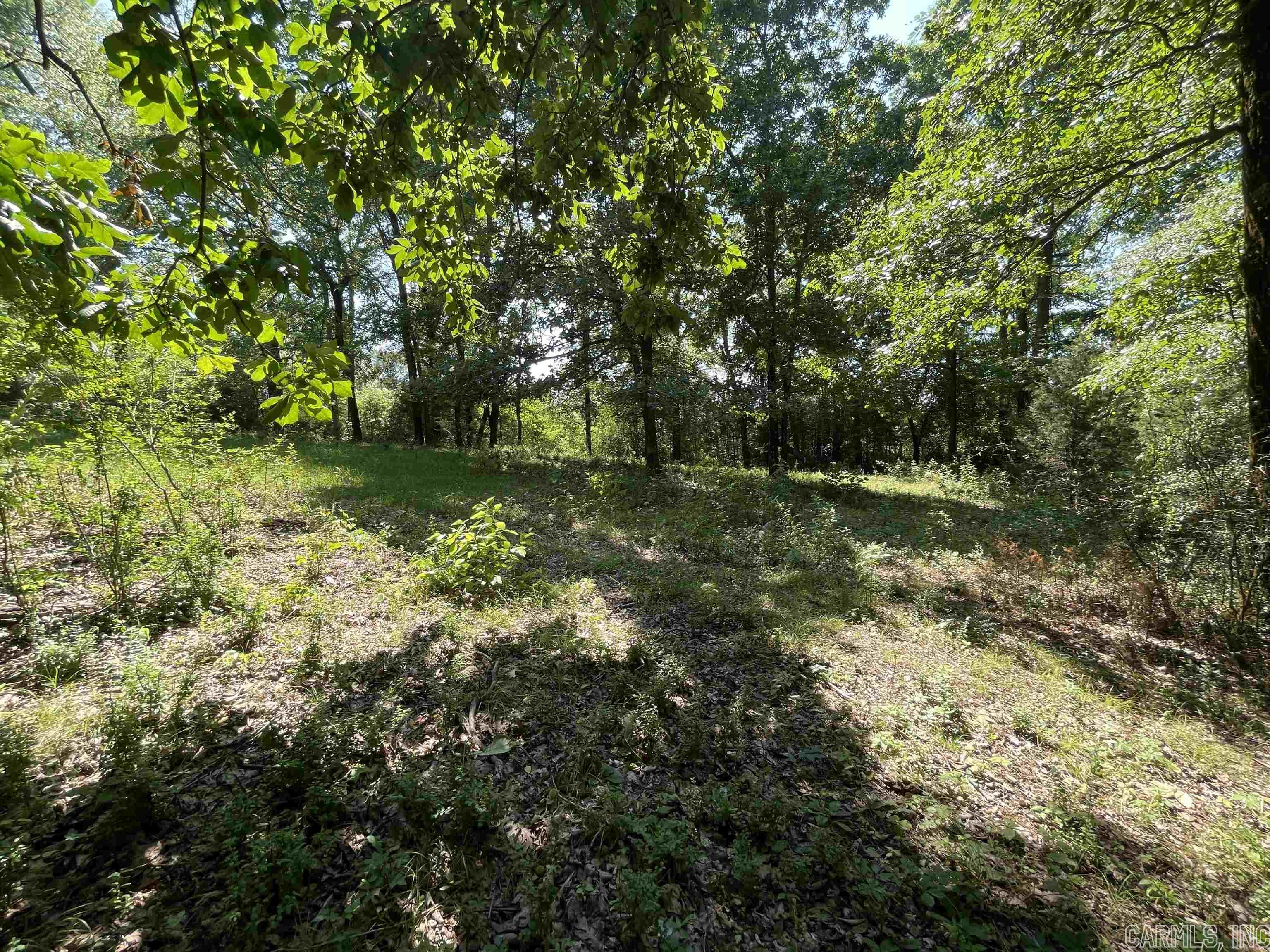 Not in Subdivision - Farm