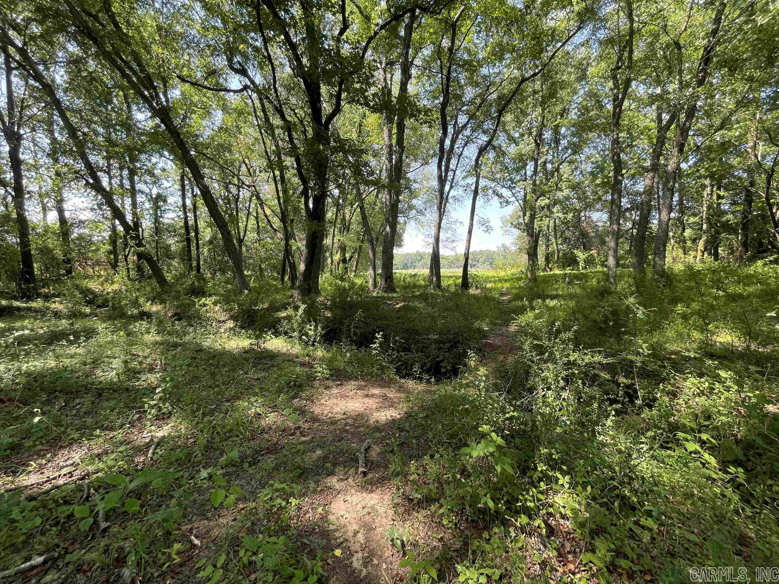 Not in Subdivision - Farm