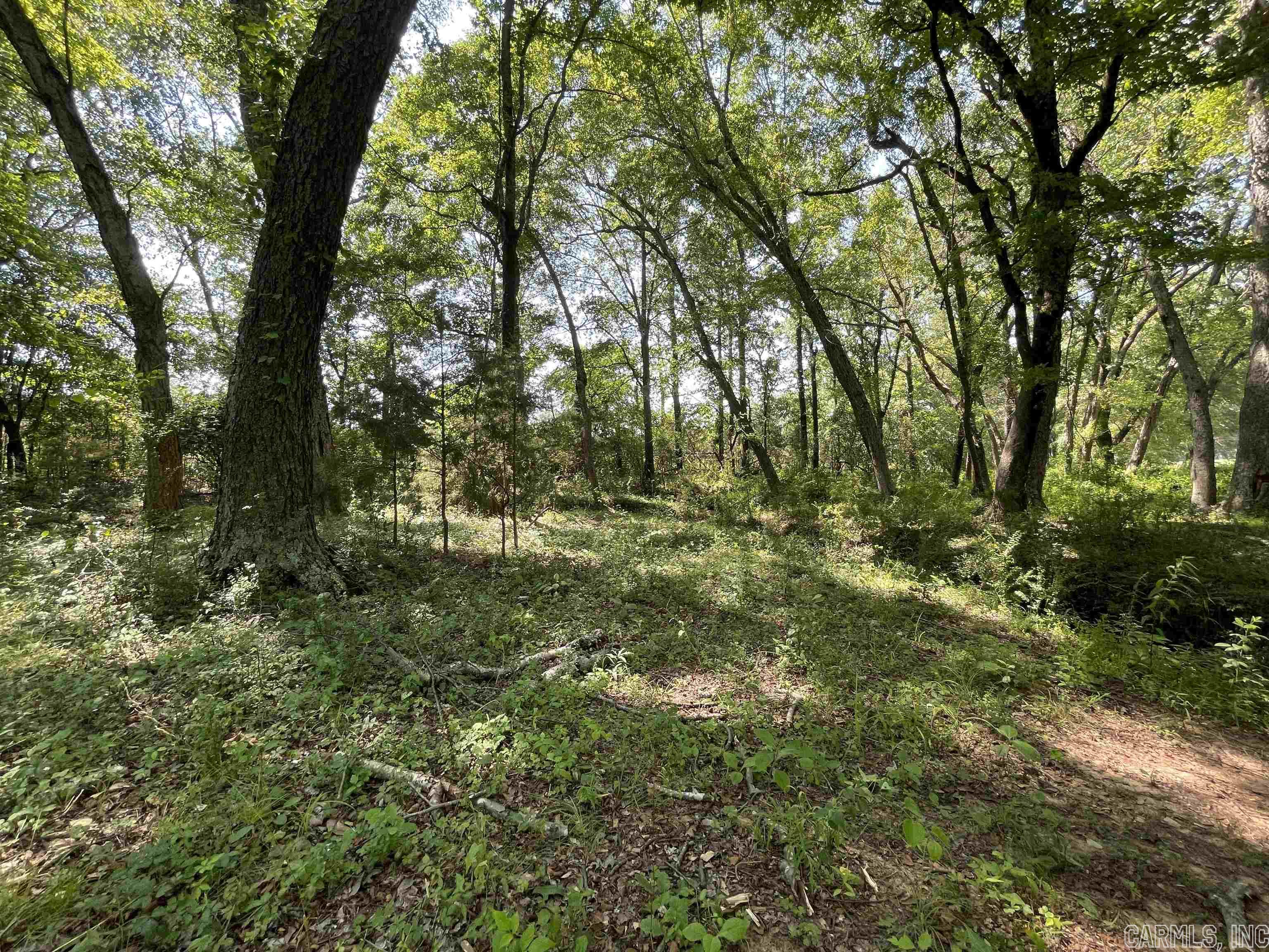 Not in Subdivision - Farm