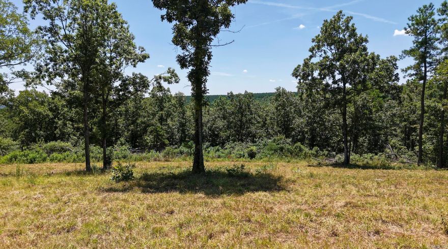 Come see this land in person—you won’t believe the mountain views until you do. These two parcels (approx. 16.53 acres and 10 acres) can be sold together or separately and are ready for your vision!   This property (16.53 +/- acres)  has a driveway with gate, a cleared building spot (from a former house spot), power available, and West Stone County Water is available on the same side of the road. There is an existing well head on the property too. There are no restrictions, so you can build, camp, homestead or just enjoy the space.  It’s quiet, open, and full of potential. Whether you’re looking for a weekend spot, hunting land, or a place to build your dream home—this is worth walking.  The views are even better in person—come take a look.