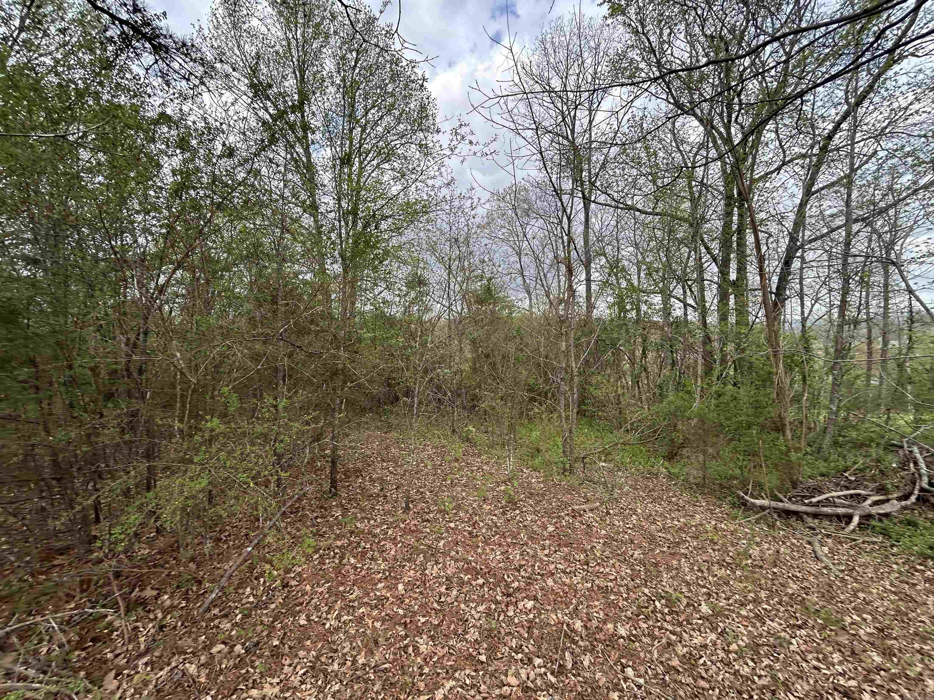 CLINTON ORIGINAL - Residential