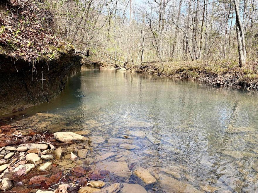 Offered for the first time in over 20 years, this secluded Ozark Mountain property presents a rare opportunity to own a true recreational tract with strong natural features.  An old homesite with electricity available provides a great start for a future cabin or hunting camp. The property features private road access and an established internal road system for easy navigation.  Little Johnny Creek runs through the property with clear water and deep pools, adding beauty and functionality. The terrain also includes unique rock formations for added character.  The timber consists of a mix of mature pine and hardwoods, creating excellent habitat for deer, turkey, and black bears. Surrounded by timber company land, the area offers strong wildlife movement and privacy.  Ideal for a hunting retreat, recreational getaway, or investment, this property offers seclusion, natural beauty, and accessibility.  Mineral rights owned by the Seller will convey, adding additional value.  Please note: there is currently no deeded legal access, making this an opportunity best suited for experienced land buyers or those willing to secure access in the future.