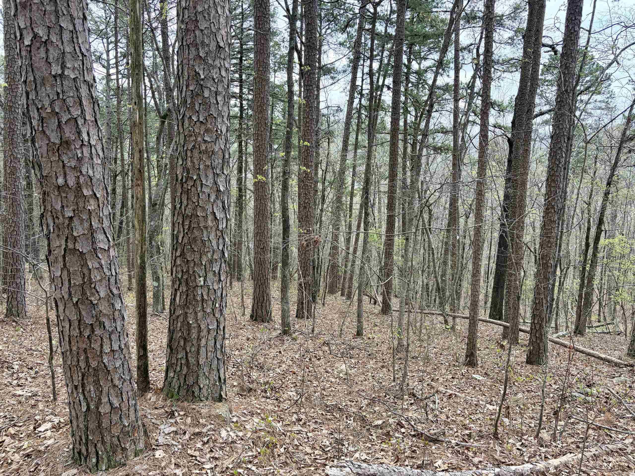 Not in Subdivision - Land