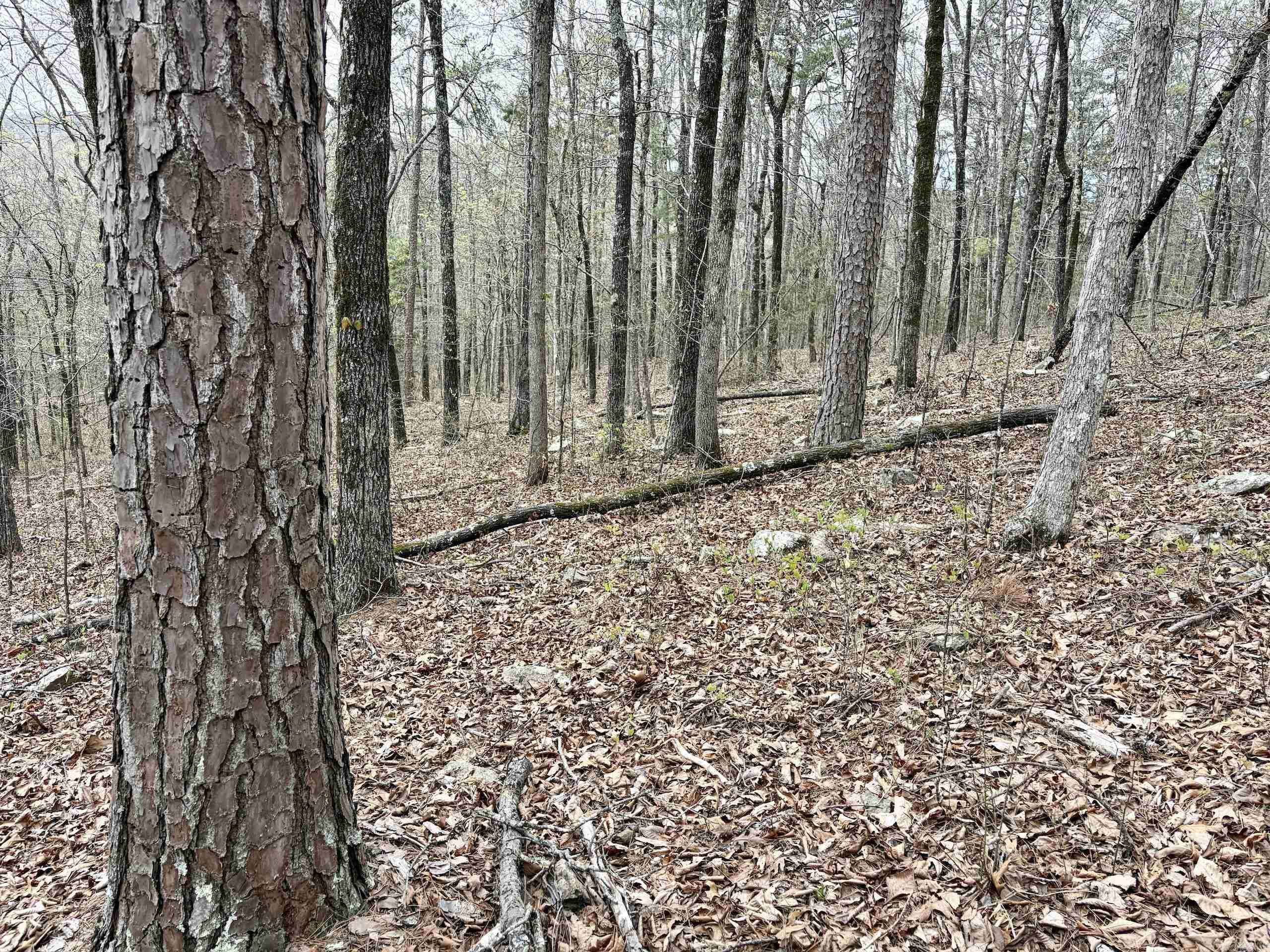 Not in Subdivision - Land