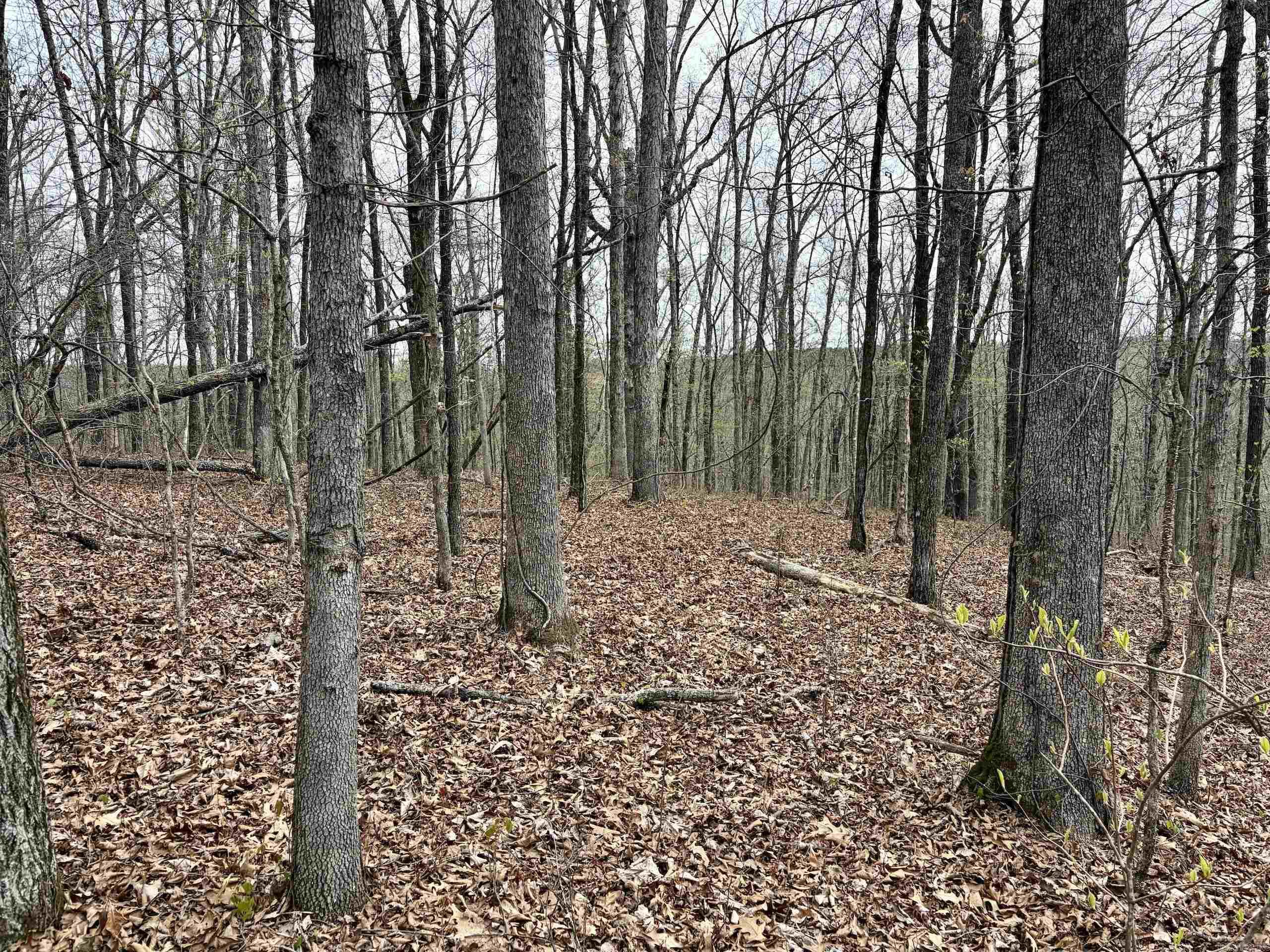 Not in Subdivision - Land