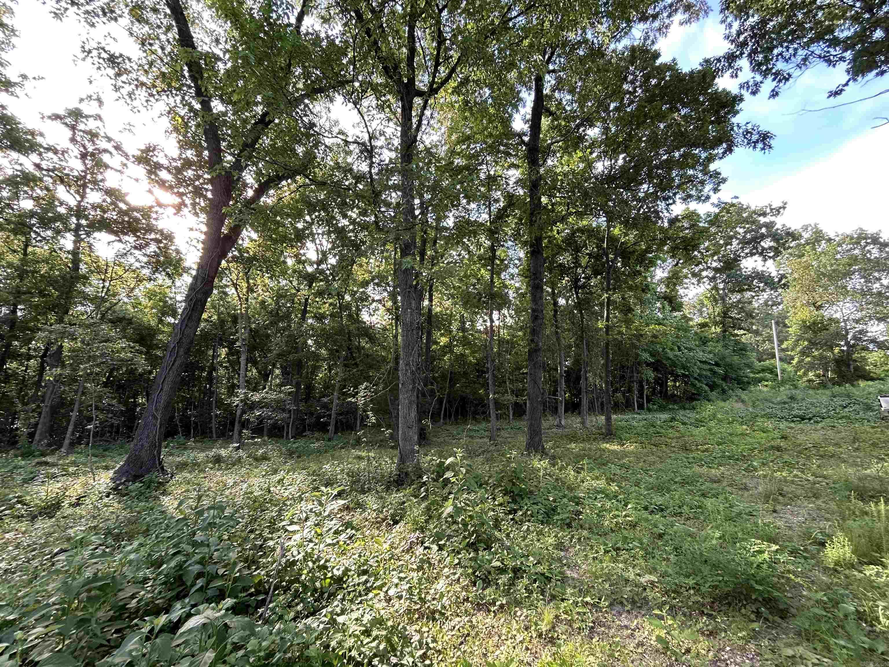 This private lot is one of two adjacent lots being offered in the beautiful and convenient Lancaster- Tubbs Creek Homesites subdivision. Located only 3.8 miles from the Stone County Courthouse, this lovely acreage provides privacy and mountain views. There has been some selective clearing among the mature trees to open a space for your future dream home. The site has both water and electric available. This subdivision has a few light restrictions to protect your investment including a 1000 sqft minimum. Purchase this lot alone or with the adjoining lot 77 for additional space and privacy and enjoy your own slice of Ozark paradise.