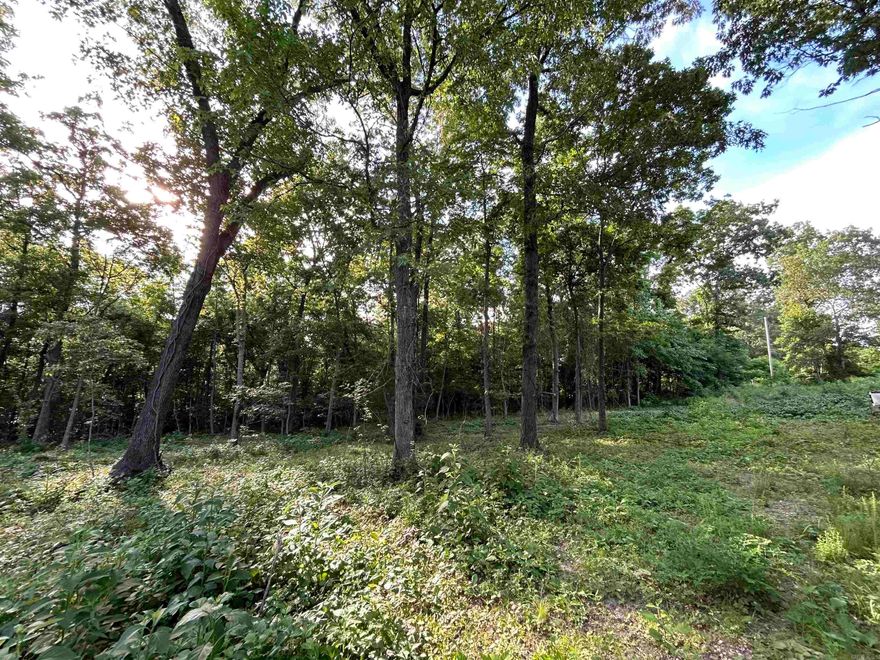 This private lot is one of two adjacent lots being offered in the beautiful and convenient Lancaster- Tubbs Creek Homesites subdivision. Located only 3.8 miles from the Stone County Courthouse, this lovely acreage provides privacy and mountain views. There has been some selective clearing among the mature trees to open a space for your future dream home. The site has both water and electric available. This subdivision has a few light restrictions to protect your investment including a 1000 sqft minimum. Purchase this lot alone or with the adjoining lot 77 for additional space and privacy and enjoy your own slice of Ozark paradise.
