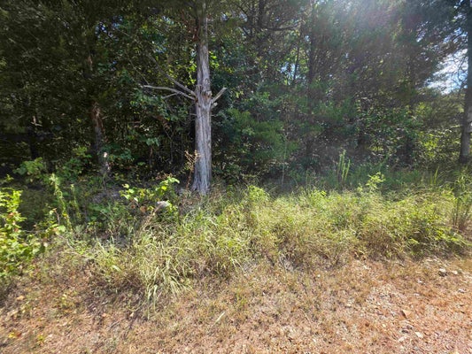 14 PAWNEE ST, CHEROKEE VILLAGE, AR 72529 - Image f64624e4df324a4e6858f53736adc5b8/2521076295