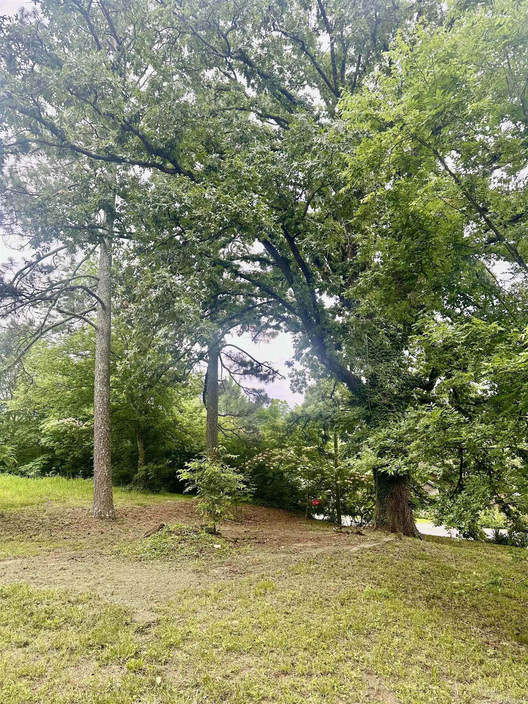 City of Glenwood - Land