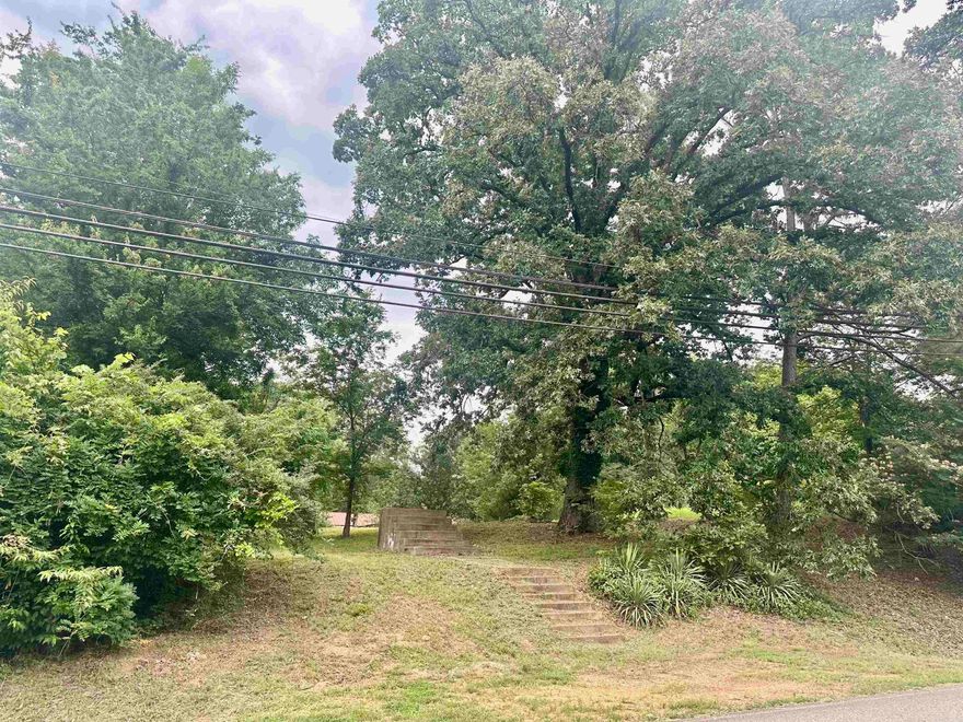 A city lot in the heart of Glenwood is now available! Located within walking distance to downtown shops and restaurants, this property offers convenience and potential. It features existing concrete steps leading to a concrete pad, with city water, sewer, and electric available. Just minutes from the Caddo River and Lake Greeson, this lot is ready for your vision—whether you're looking to build or invest.