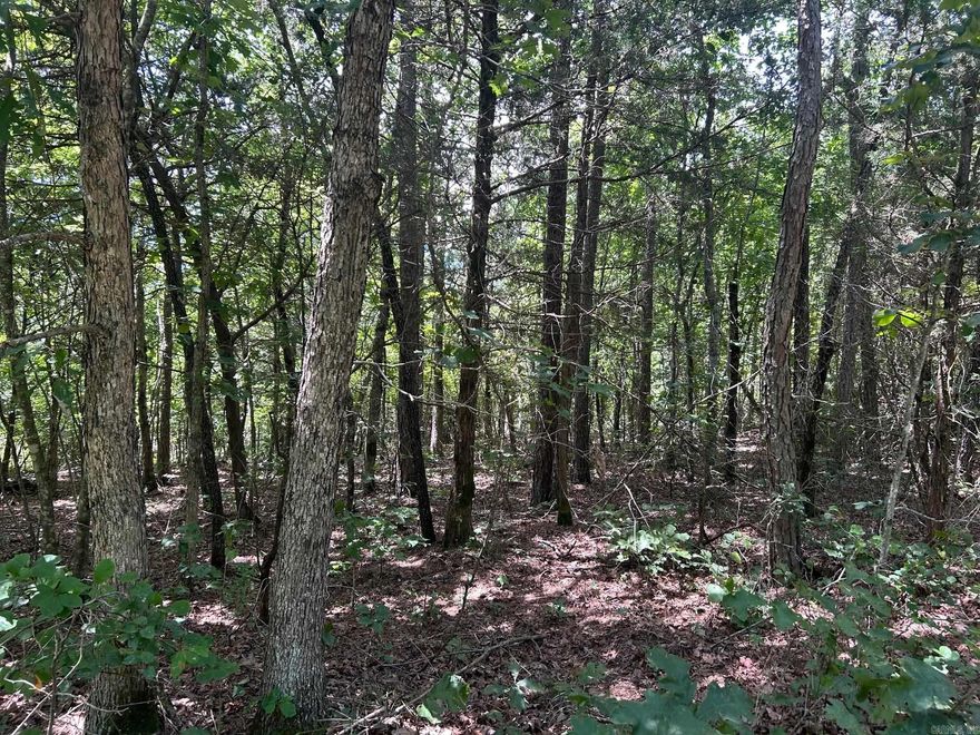 78.20 Acres – Wildlife Haven in Stone County AR | $265,200 Escape to the Ozarks with this 78.20-acre tract of wooded land on Sunnyland Road, just 20 minutes from Mountain View, Arkansas. With county road access, power and water nearby, and a landscape full of natural beauty, this property is ready for your dream hunting lodge or weekend camp. Explore the ATV trails, hunt deer and turkey, or simply enjoy the peace and quiet. A mix of hardwood forest and open areas makes this a versatile property for hunting, camping, or future development. Close to Ozark Folk Center, folk music, festivals, and small-town charm.