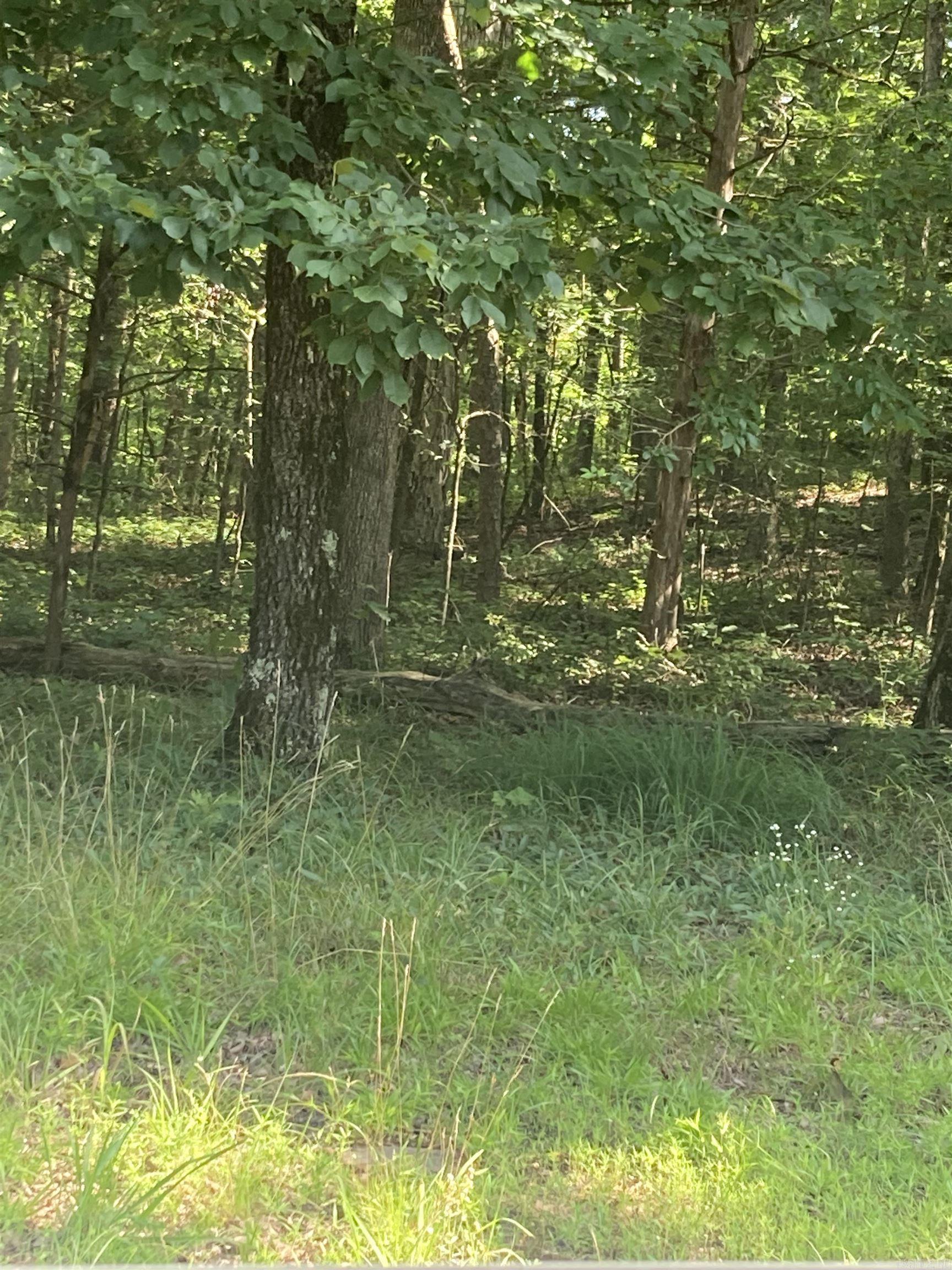 Discover your piece of paradise nestled in the Ozarks in stunning Fairfield Bay, Arkansas! This centrally located lot, near the Indian Hills Golf Course, presents an ideal opportunity to construct your dream home in a highly sought-after locale, complete with a plethora of amenities. A stone's throw from the breathtaking Greers Ferry Lake & full-service marina, it's a haven for fishing enthusiasts, boating aficionados, or those who simply cherish waterside serenity. Fairfield Bay doesn't stop there; it boasts an array of facilities, including three swimming pools, two 18-hole golf courses, extensive hiking and biking paths, ATV/UTV trails, pickleball and tennis courts, and more. Whether it's outdoor excitement, a sociable tennis match, or a tranquil day poolside, Fairfield Bay caters to all. Surrounded by nature, but only 90 minutes to Little Rock, this could be your own little Ozark oasis.