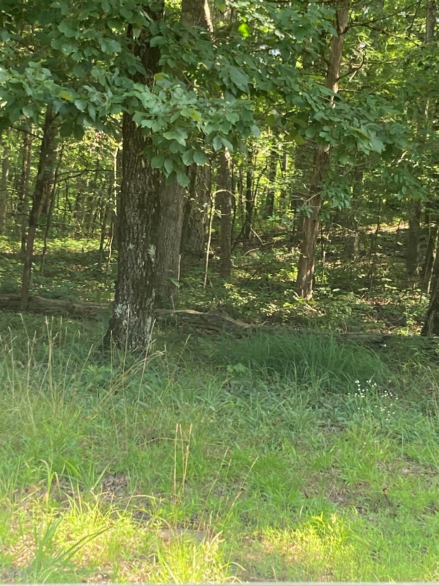 Discover your piece of paradise nestled in the Ozarks in stunning Fairfield Bay, Arkansas! This centrally located lot, near the Indian Hills Golf Course, presents an ideal opportunity to construct your dream home in a highly sought-after locale, complete with a plethora of amenities. A stone's throw from the breathtaking Greers Ferry Lake & full-service marina, it's a haven for fishing enthusiasts, boating aficionados, or those who simply cherish waterside serenity. Fairfield Bay doesn't stop there; it boasts an array of facilities, including three swimming pools, two 18-hole golf courses, extensive hiking and biking paths, ATV/UTV trails, pickleball and tennis courts, and more. Whether it's outdoor excitement, a sociable tennis match, or a tranquil day poolside, Fairfield Bay caters to all.   Surrounded by nature, but only 90 minutes to Little Rock, this could be your own little Ozark oasis. Agents, see agent remarks