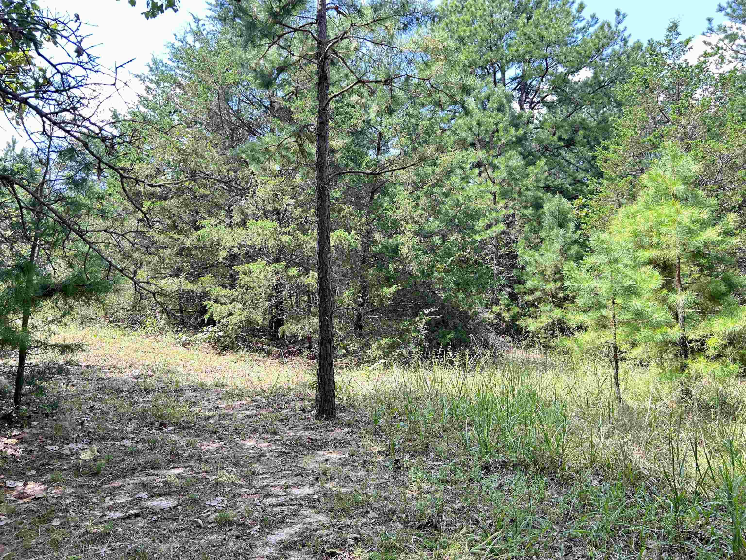 PINE TREE ESTATES - Residential