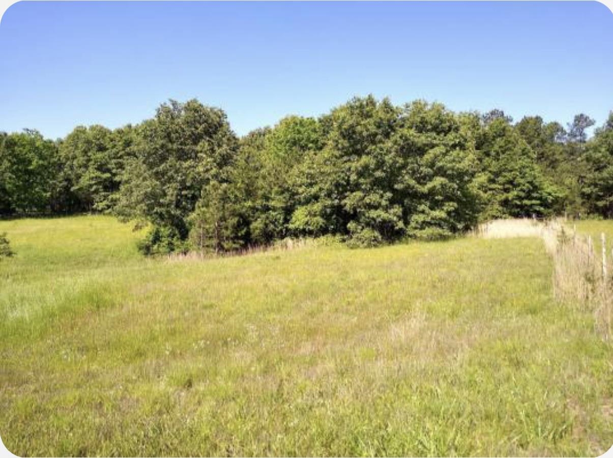 PINE TREE ESTATES - Residential