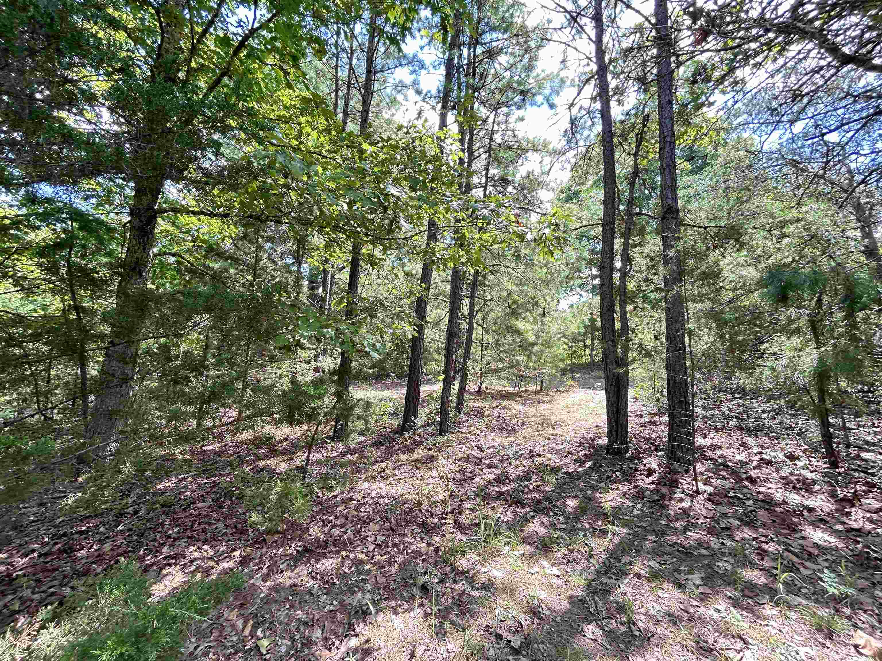 PINE TREE ESTATES - Residential