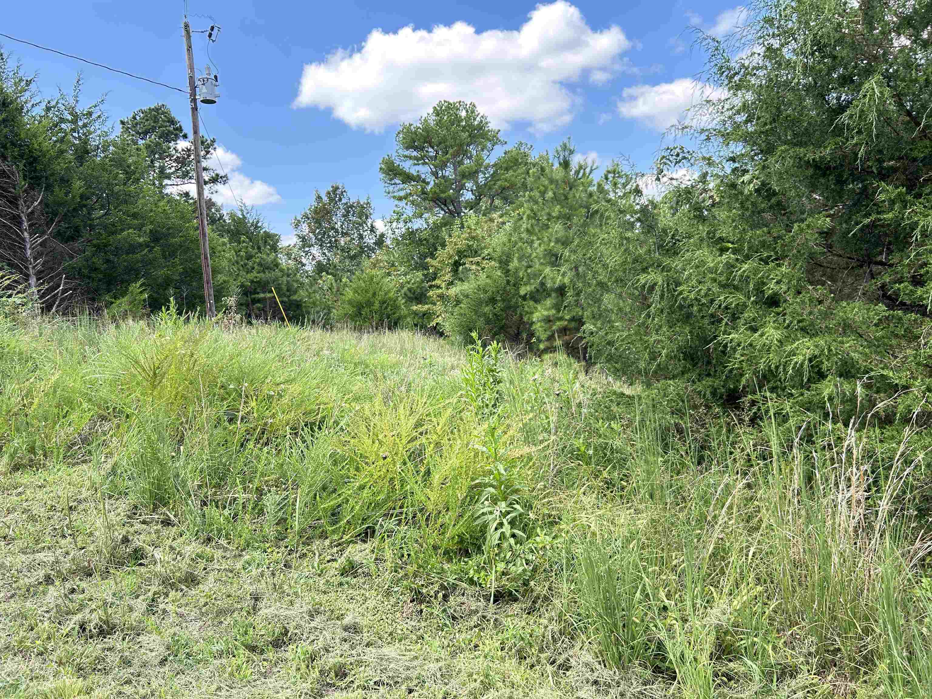 PINE TREE ESTATES - Residential