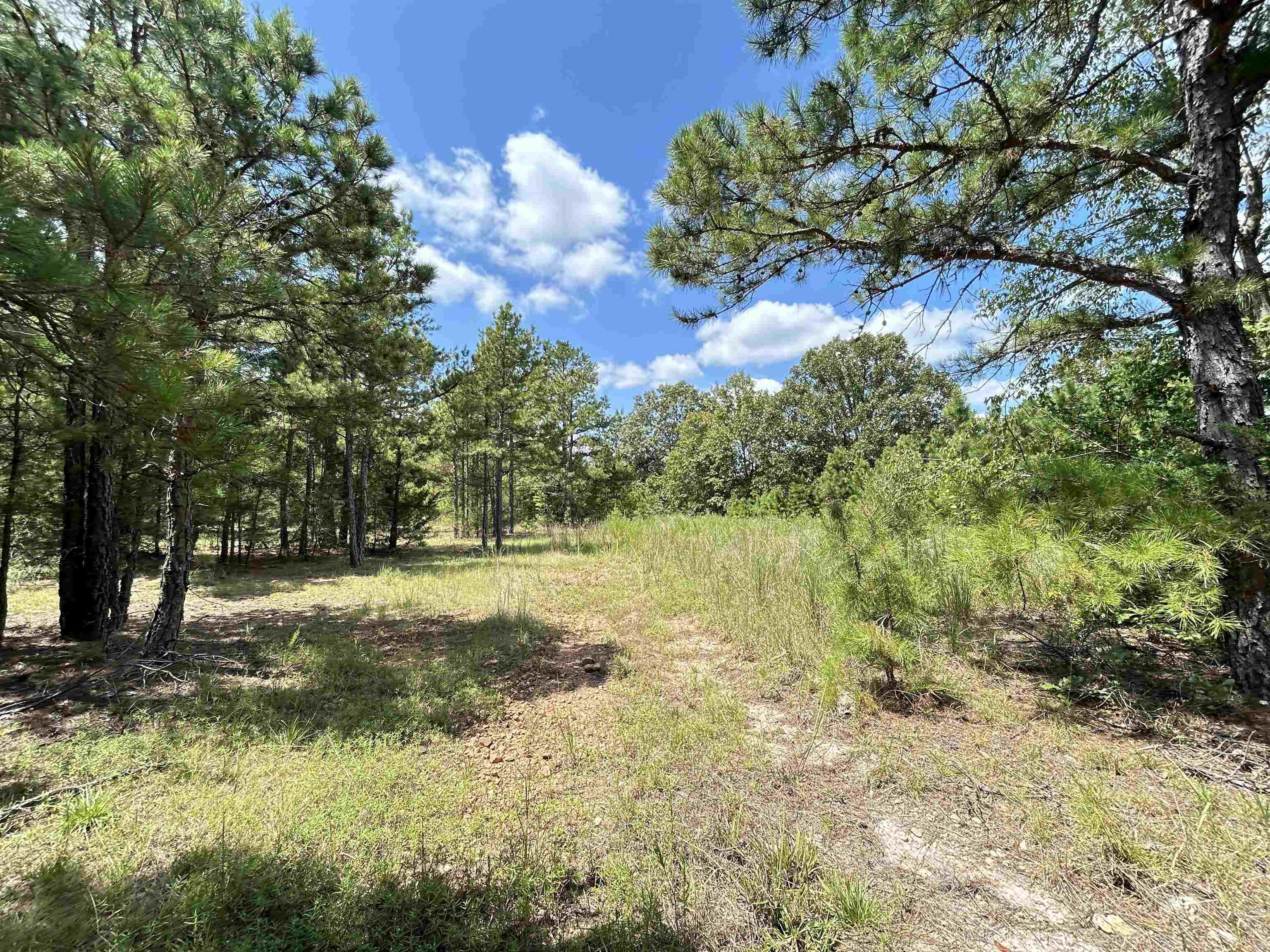 PINE TREE ESTATES - Residential