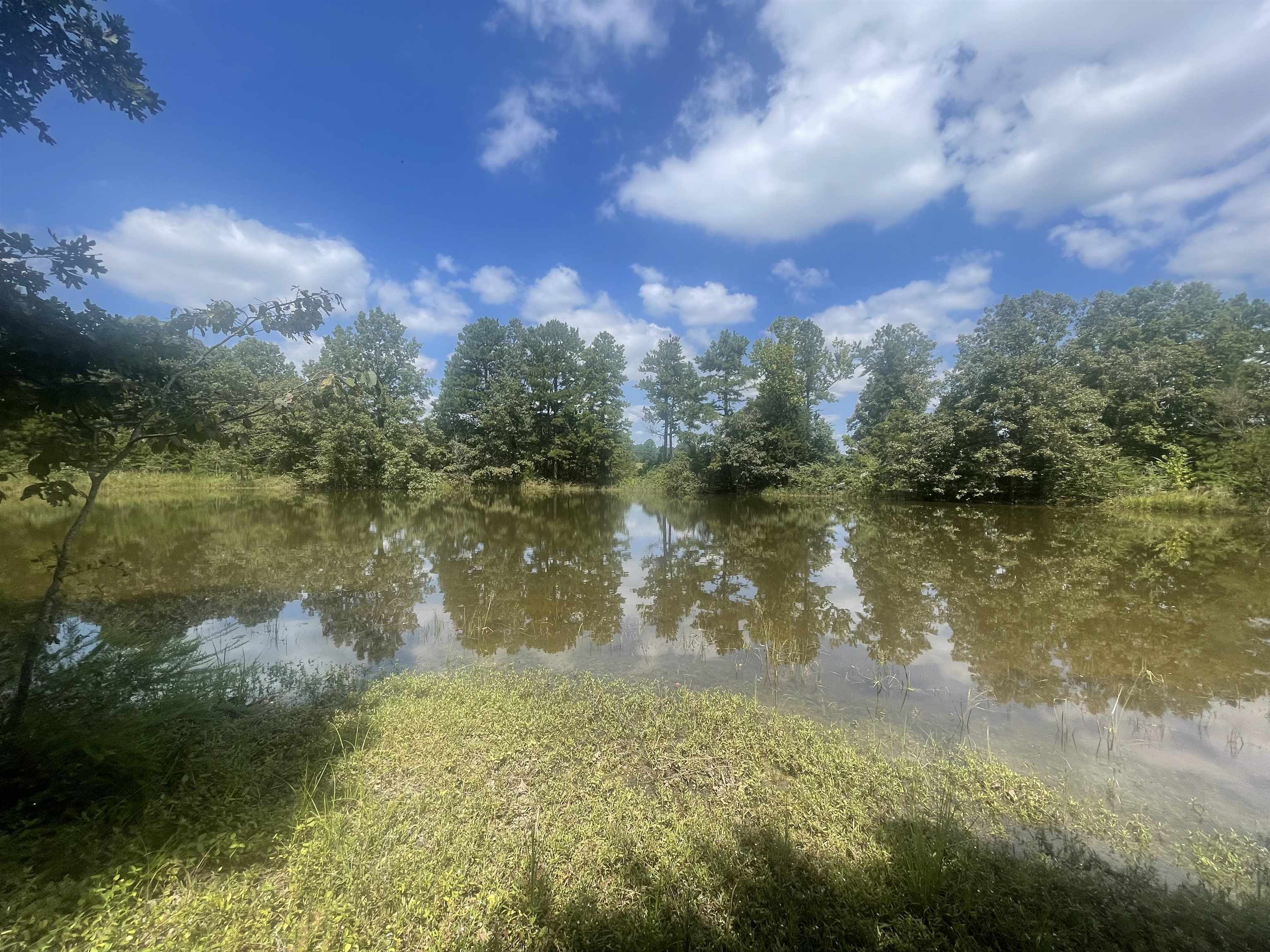 PINE TREE ESTATES - Residential