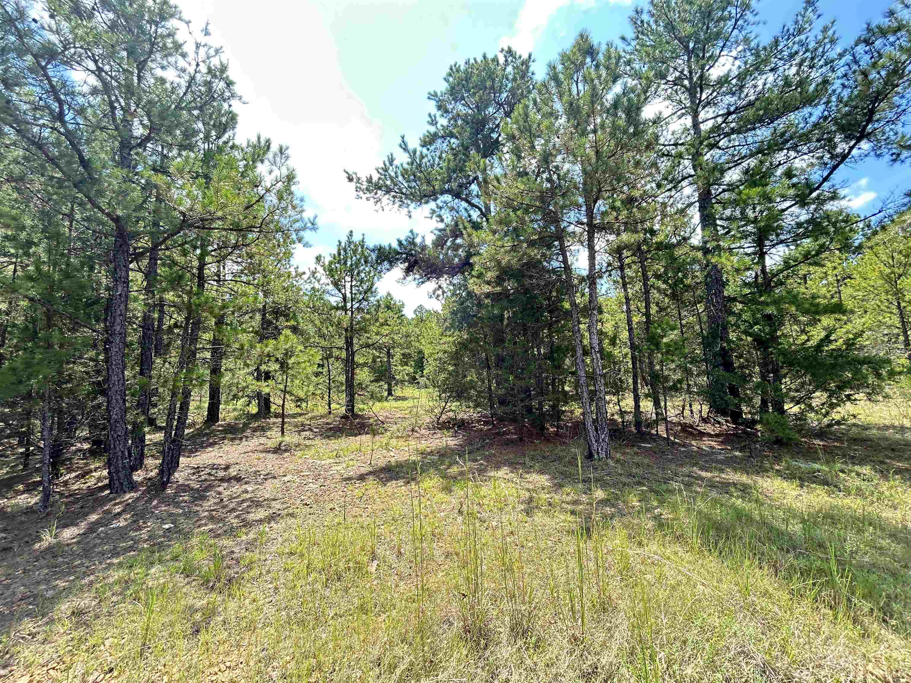 PINE TREE ESTATES - Residential