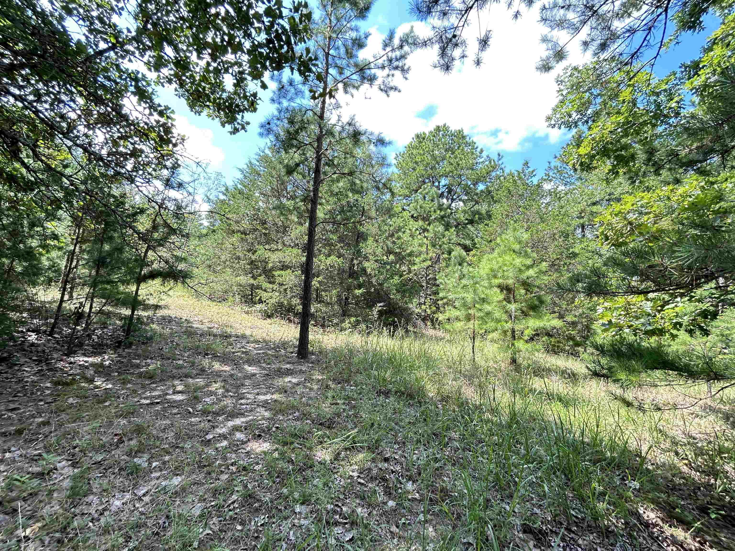 PINE TREE ESTATES - Residential