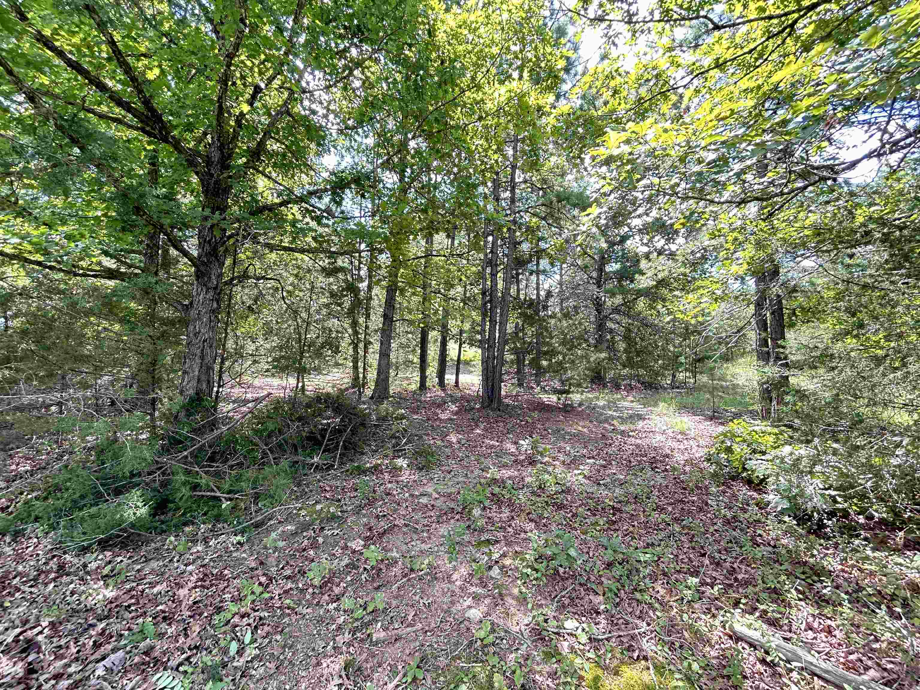 PINE TREE ESTATES - Residential