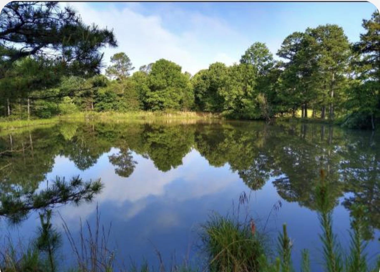 PINE TREE ESTATES - Residential