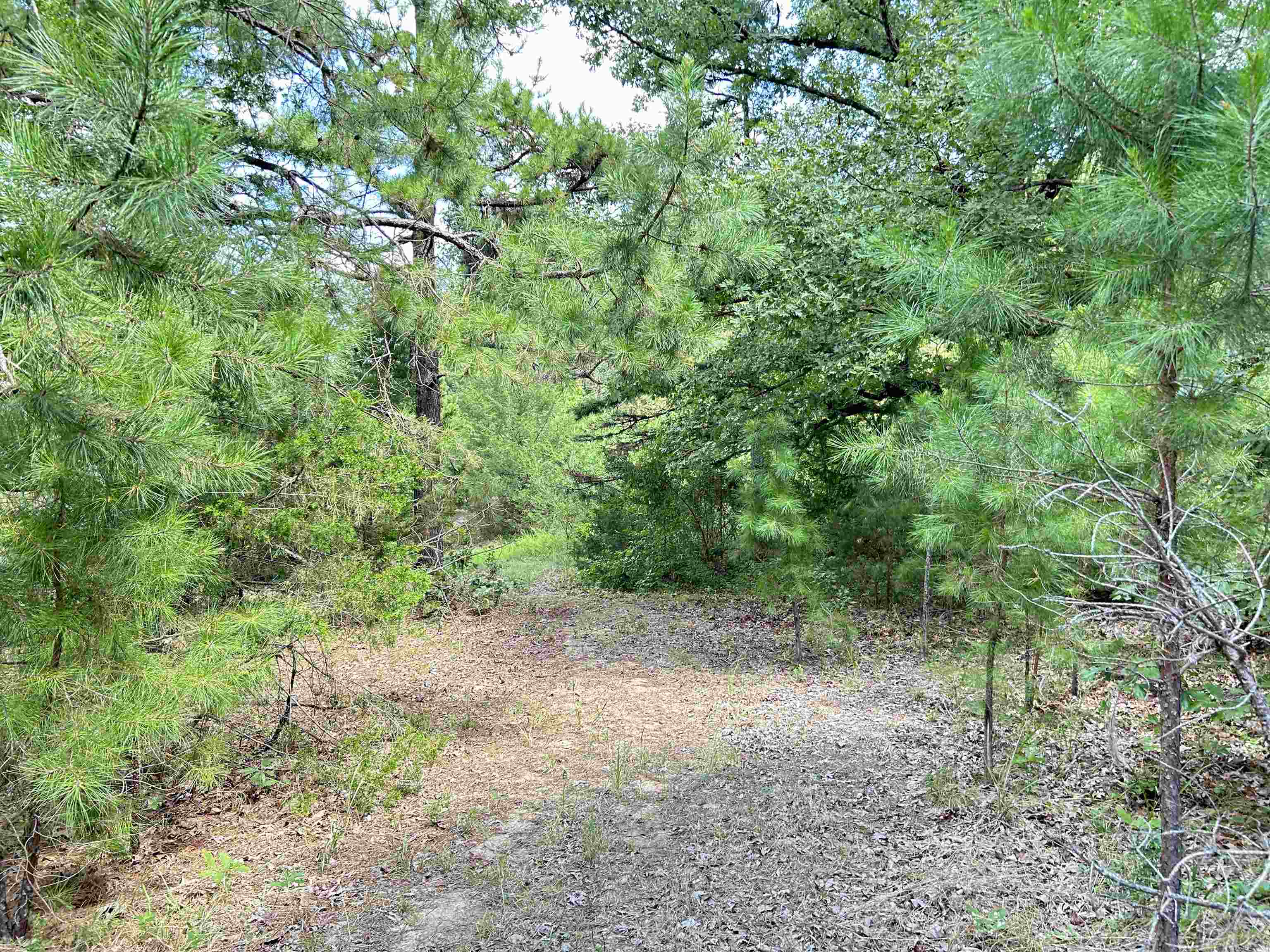 PINE TREE ESTATES - Residential