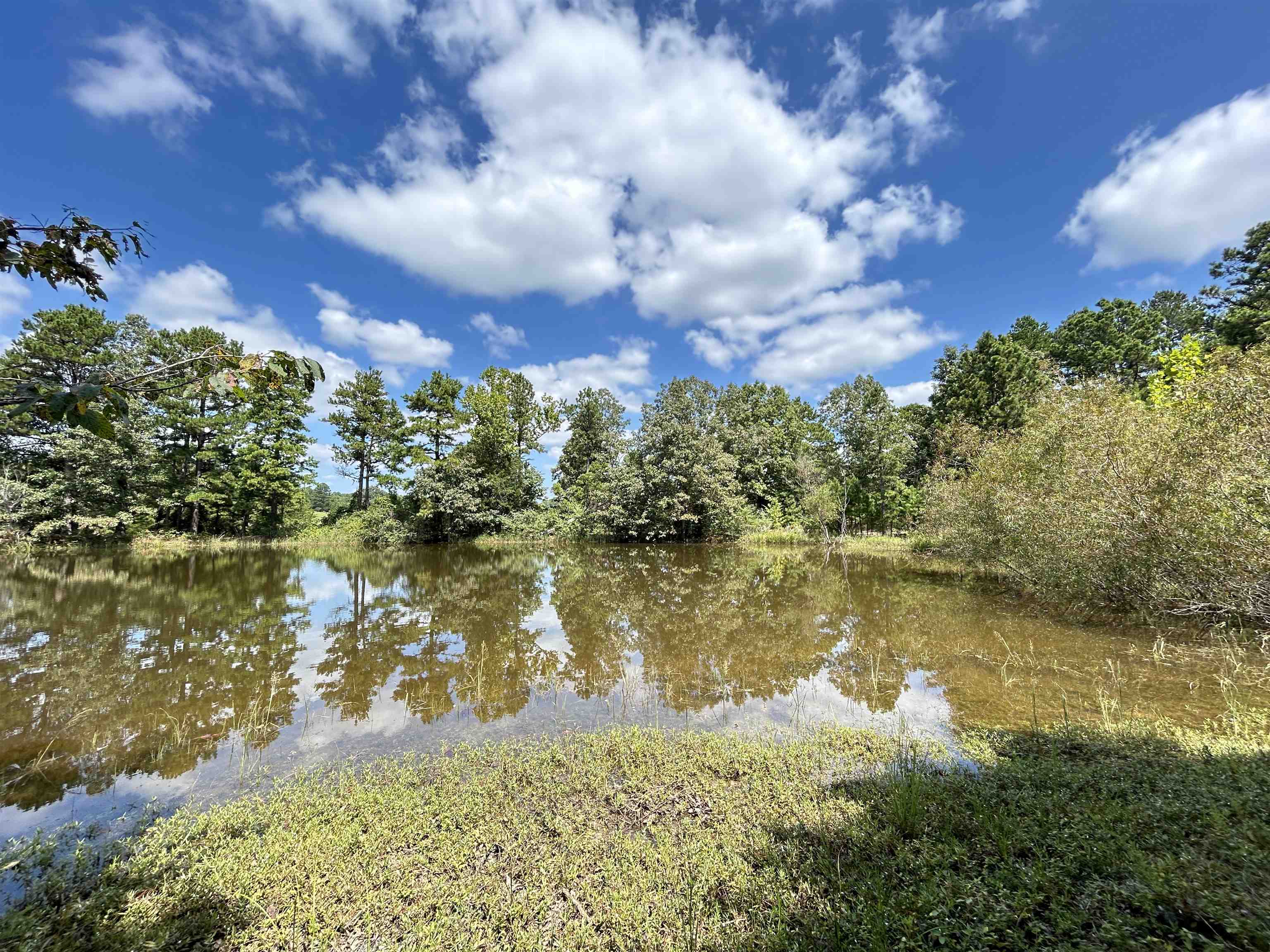 PINE TREE ESTATES - Residential