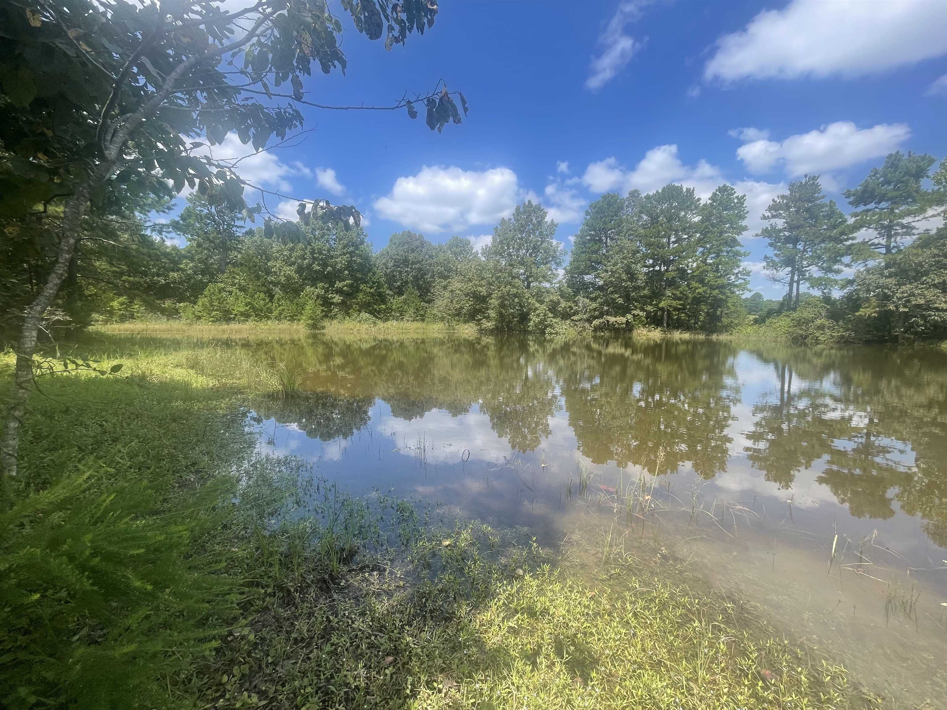 PINE TREE ESTATES - Residential