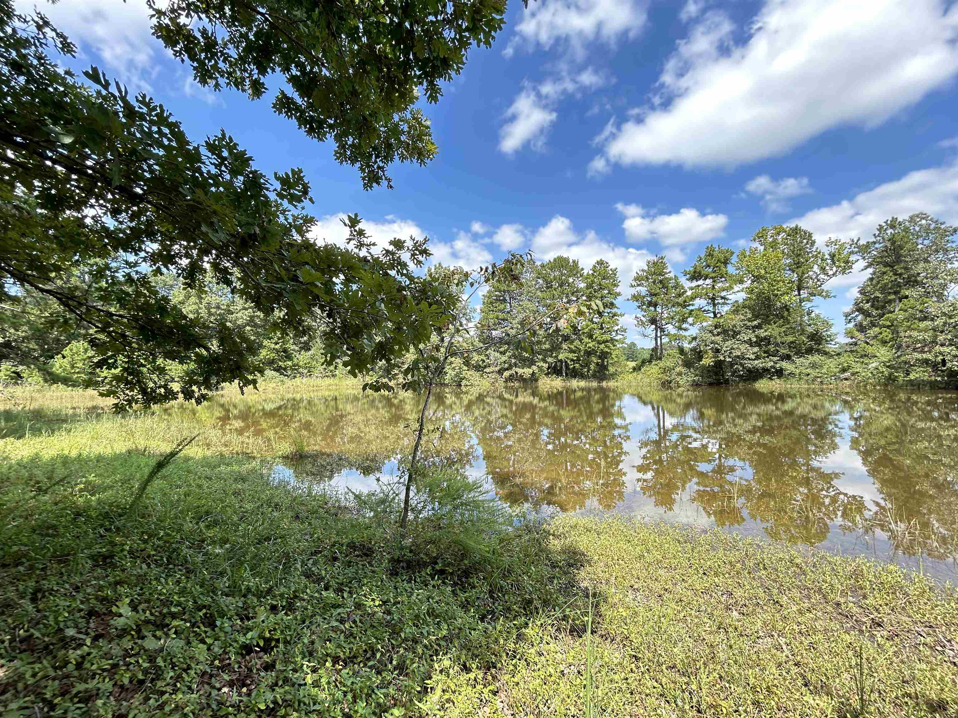 PINE TREE ESTATES - Residential