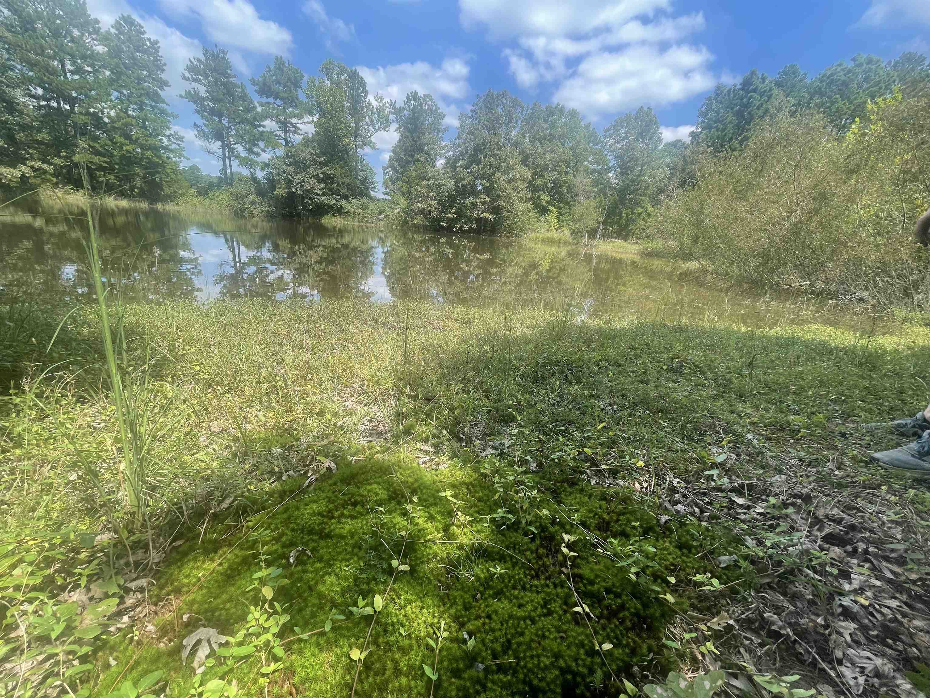 PINE TREE ESTATES - Residential