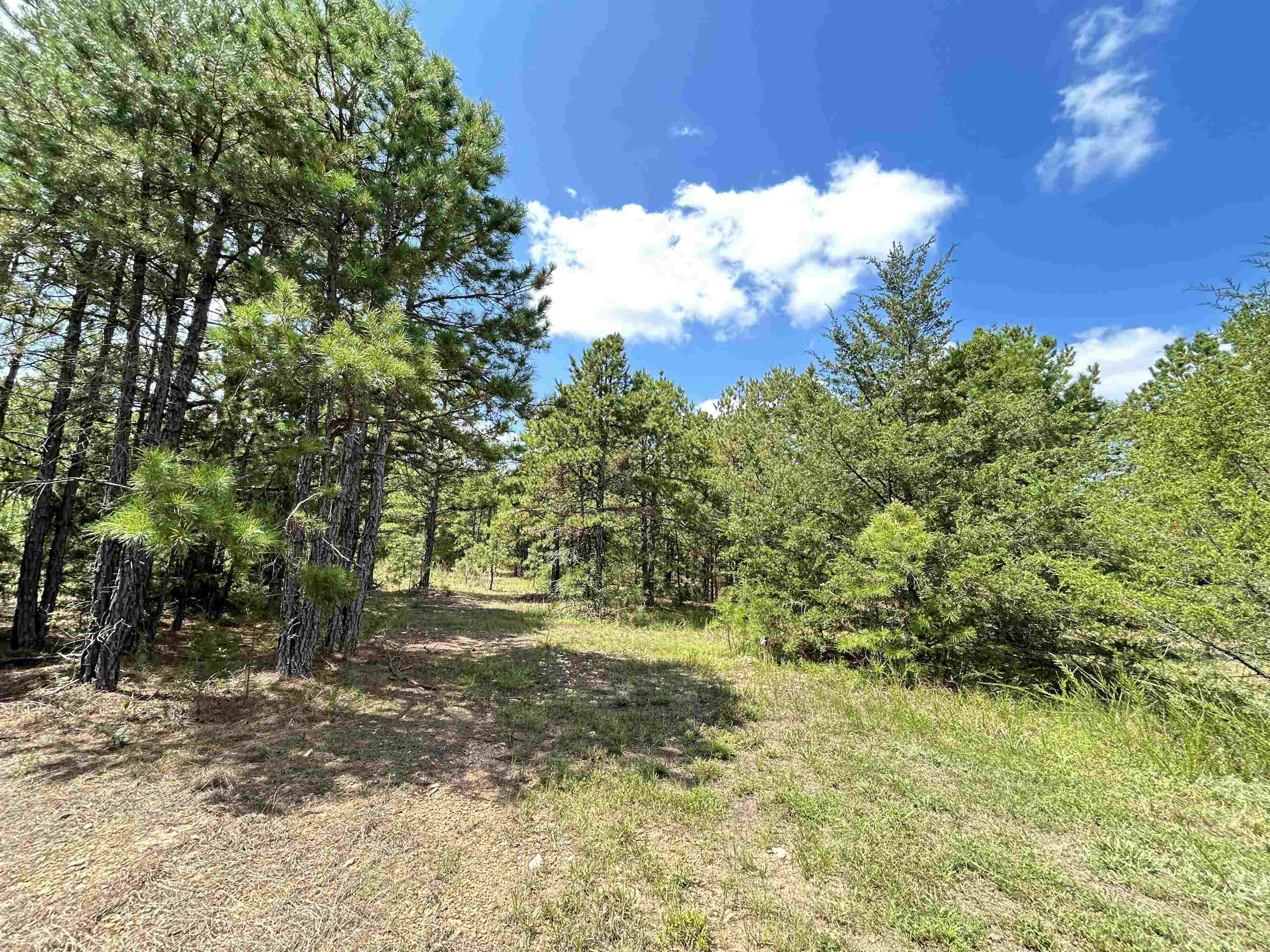 PINE TREE ESTATES - Residential