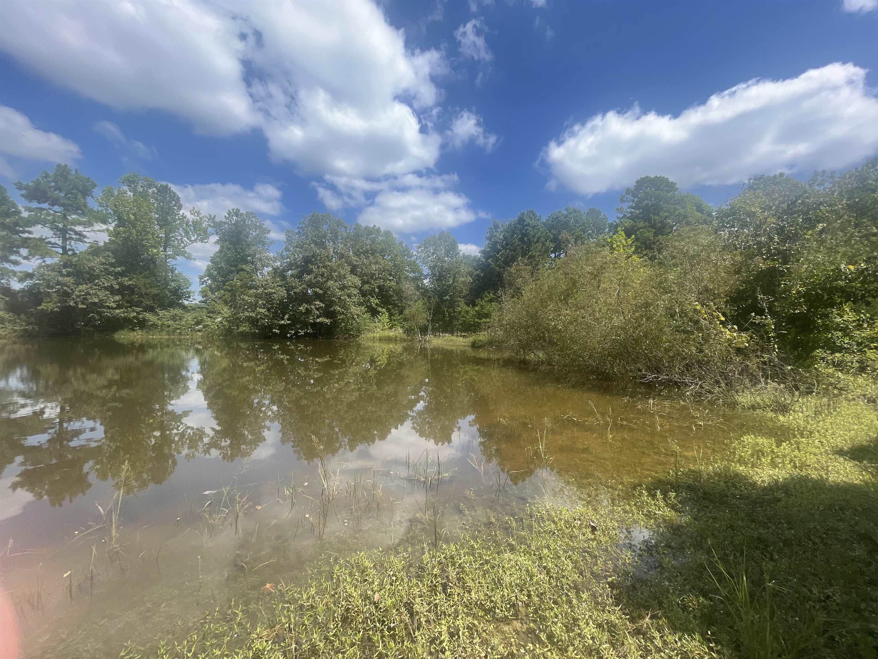 PINE TREE ESTATES - Residential