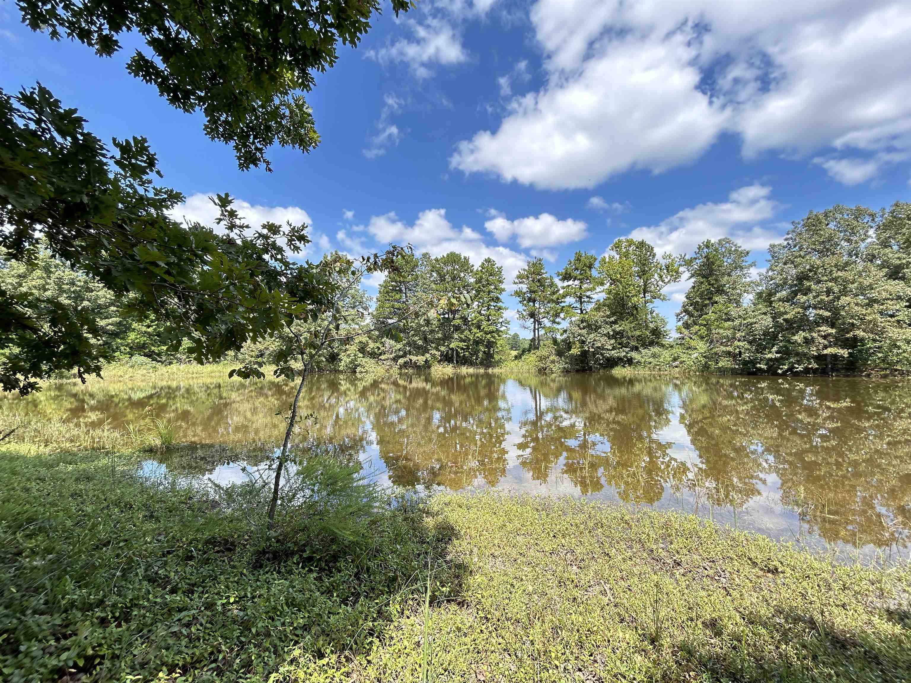 PINE TREE ESTATES - Residential