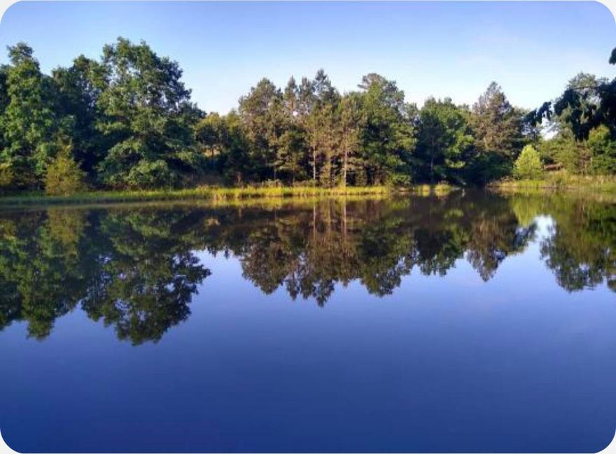 Need a get-a-way then come check out this container home with open floor plan that could be a bunkhouse with kitchenette, sleeping and living all in one. You will love that it tucked away on over 9 acres  in the heart of Oxford, Arkansas. This hidden gem features a large pond that beckons for lazy afternoons spent fishing or just soaking in the peace and quiet. The property also offers prime hunting opportunities, making it a perfect retreat for outdoor enthusiasts. Seller is currently using for hunting camp.  Has electric already to the property and water can be hooked up  to the current water meter that is on the property. With its rustic appeal and warm, welcoming atmosphere, this tiny home is ideal for a weekend escape or your new forever home. Come on down and see what Southern living is all about—this slice of Arkansas heaven won’t last long!