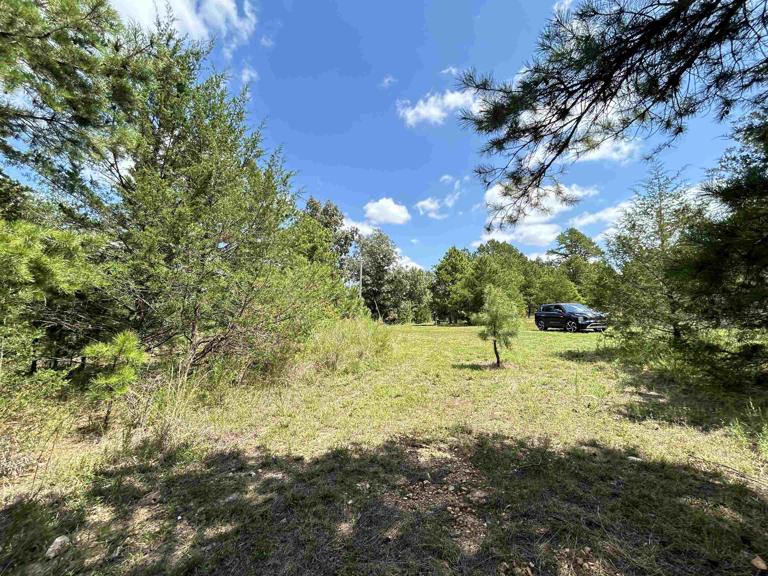 PINE TREE ESTATES - Residential