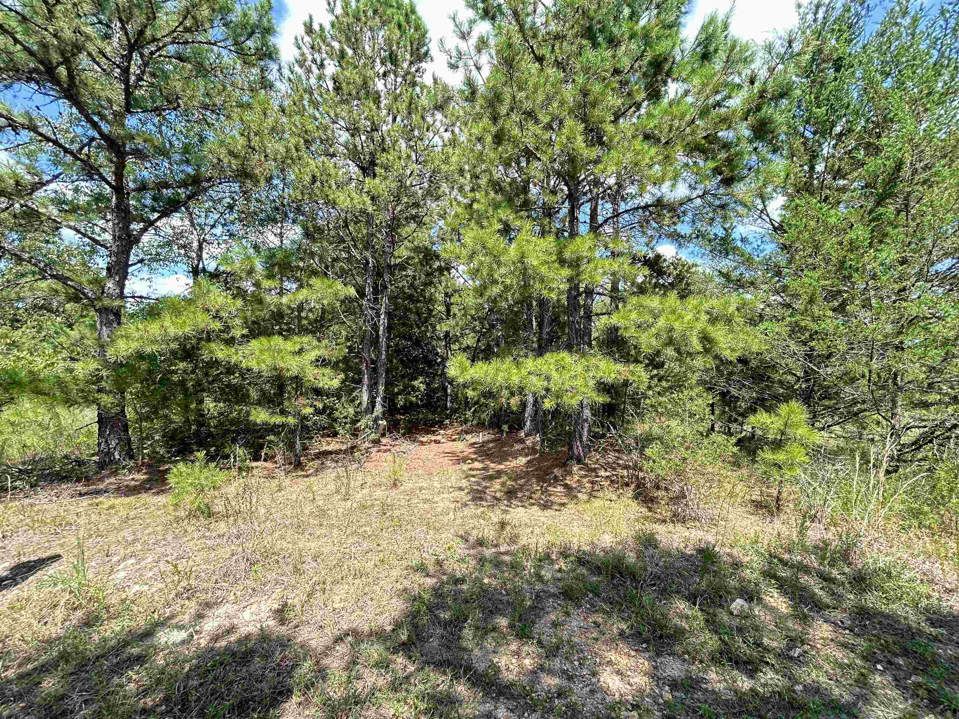 PINE TREE ESTATES - Residential