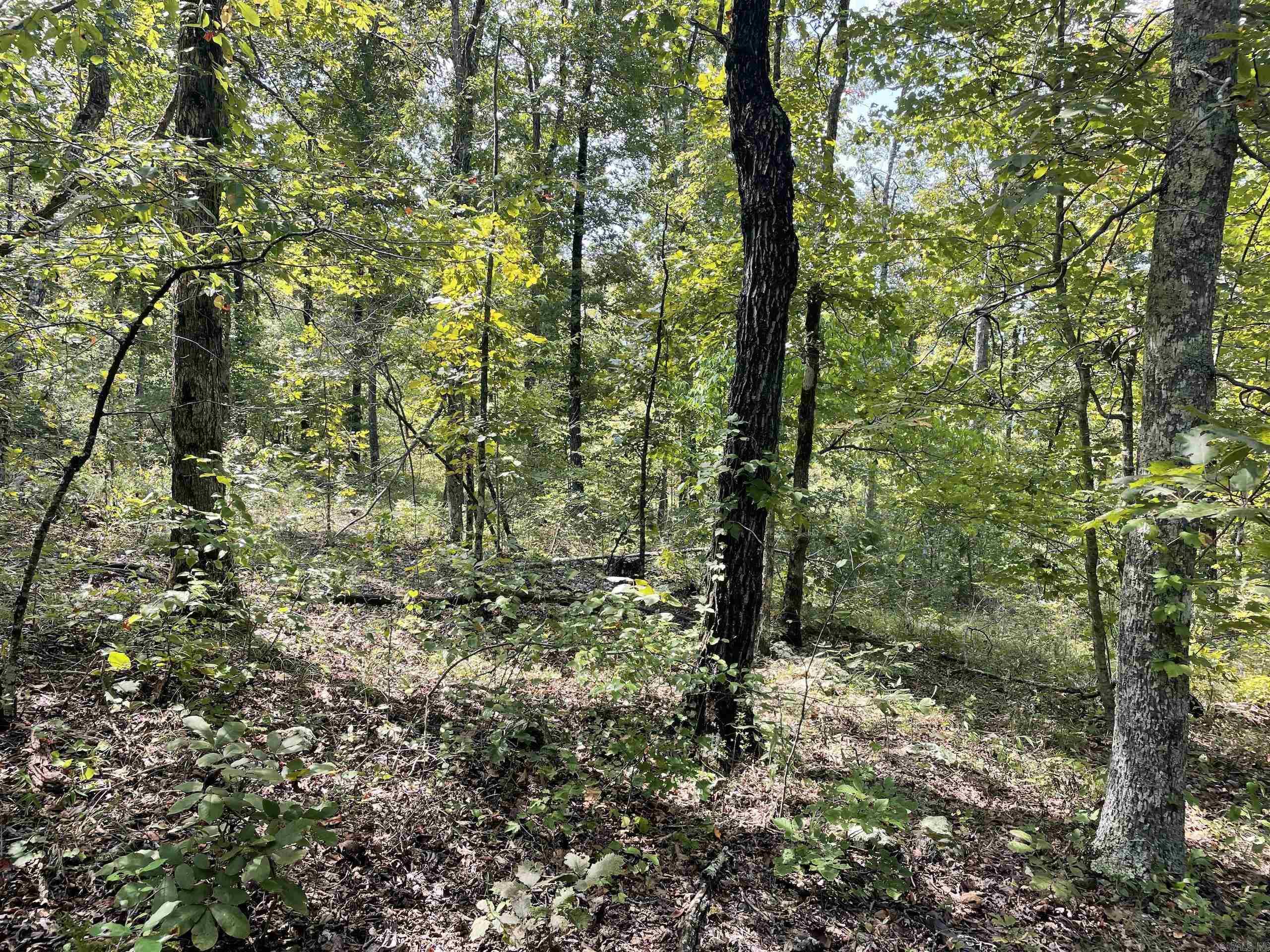 Not in Subdivision - Land