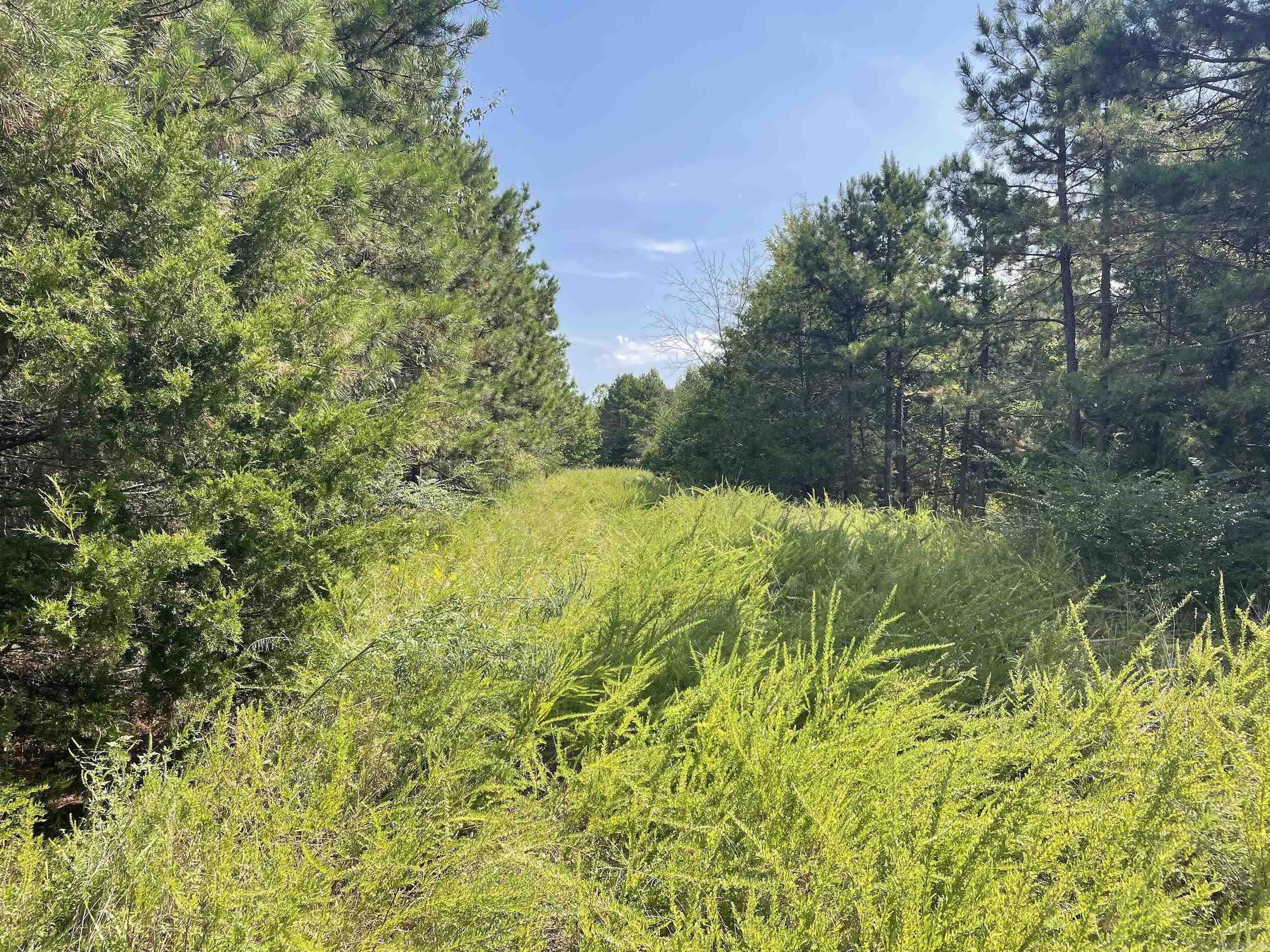 Not in Subdivision - Land