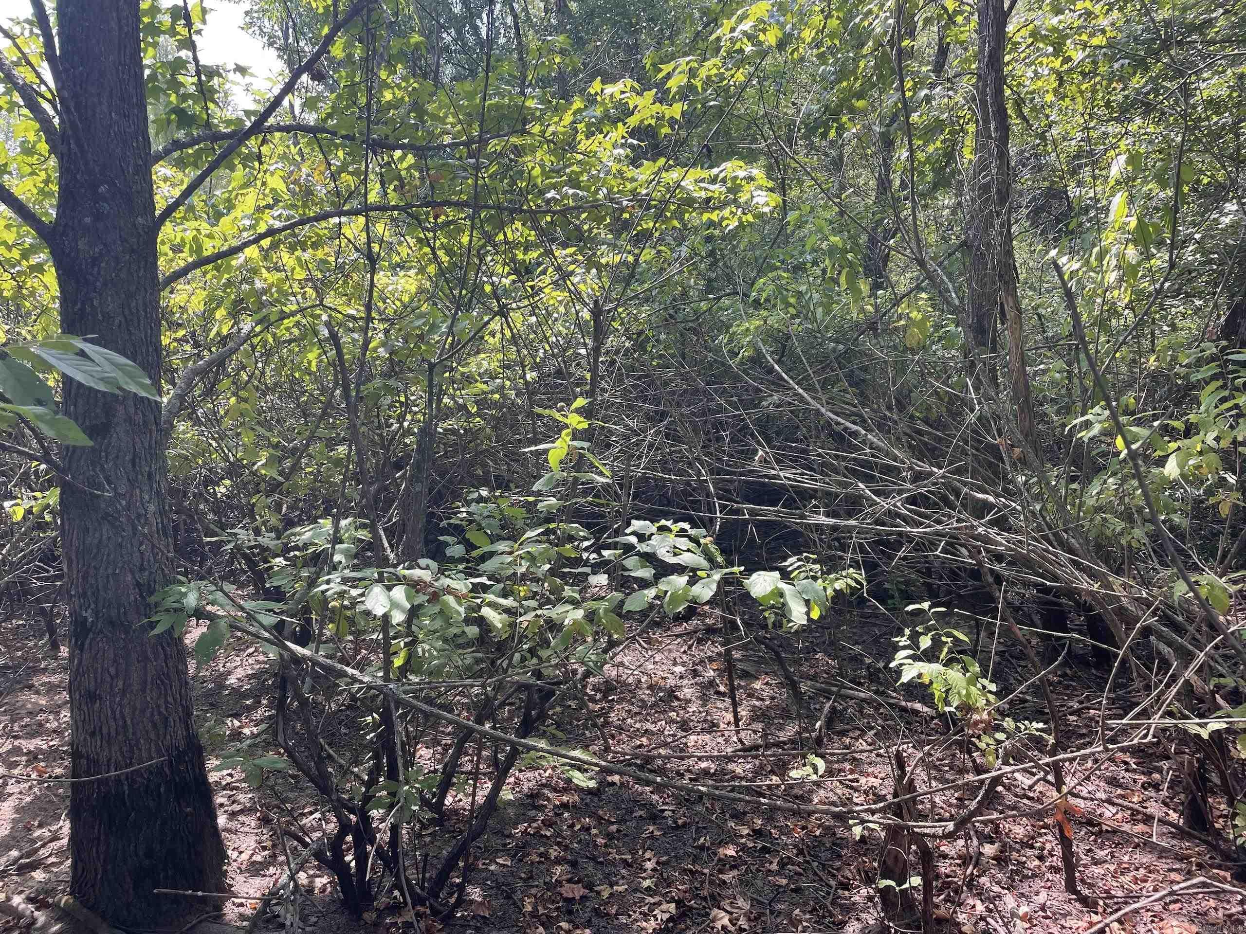 Not in Subdivision - Land