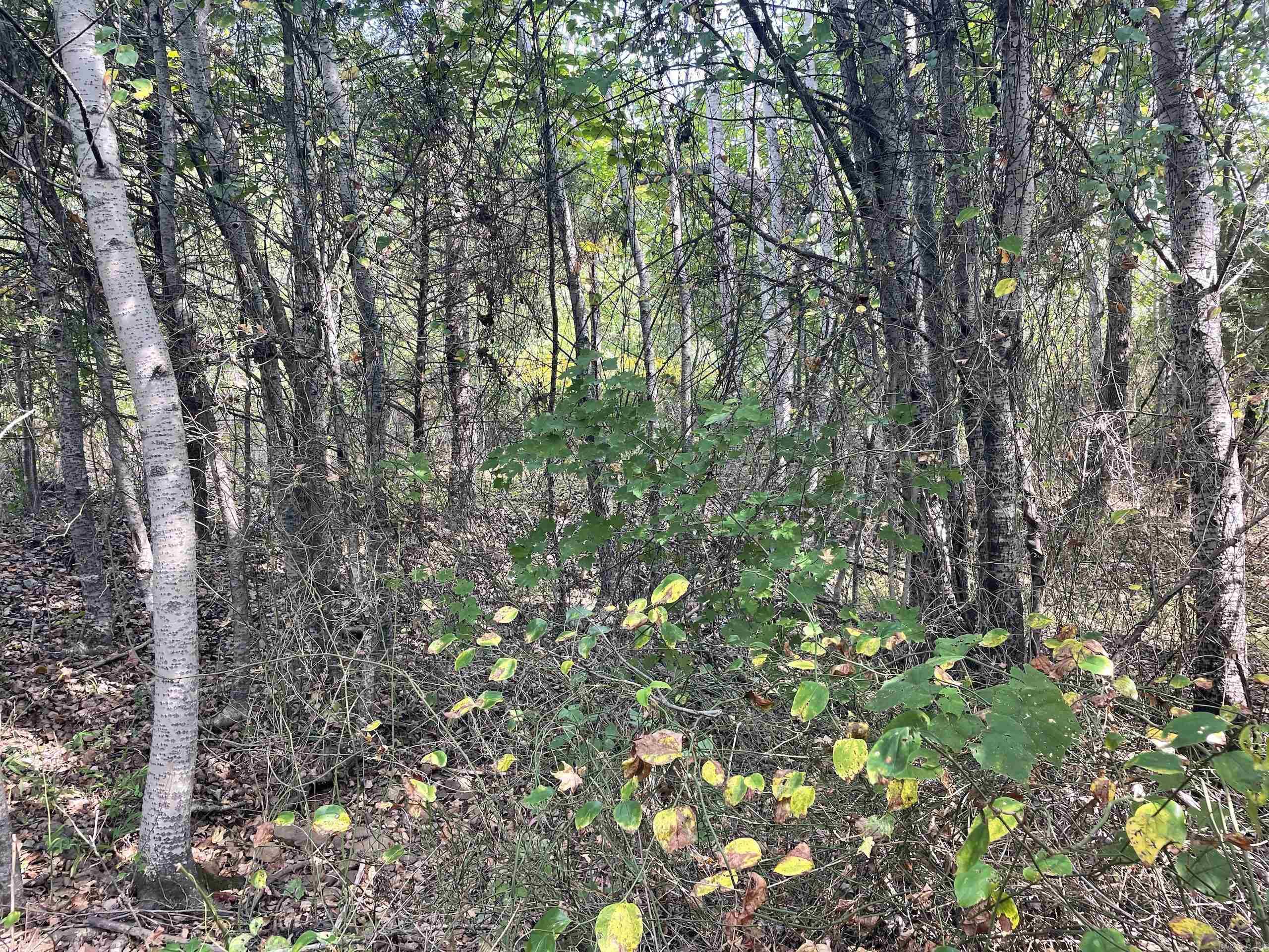 Not in Subdivision - Land