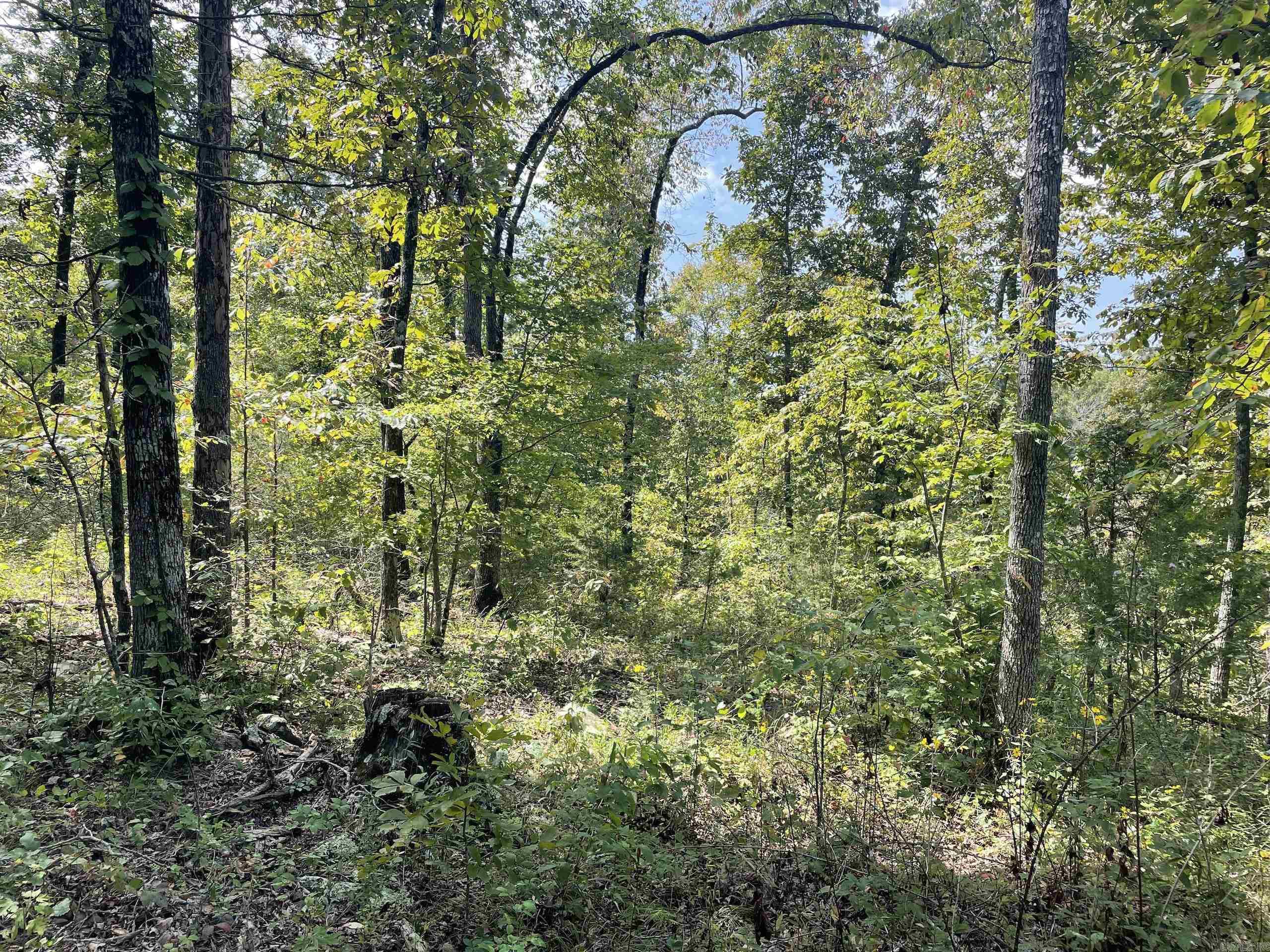 Not in Subdivision - Land