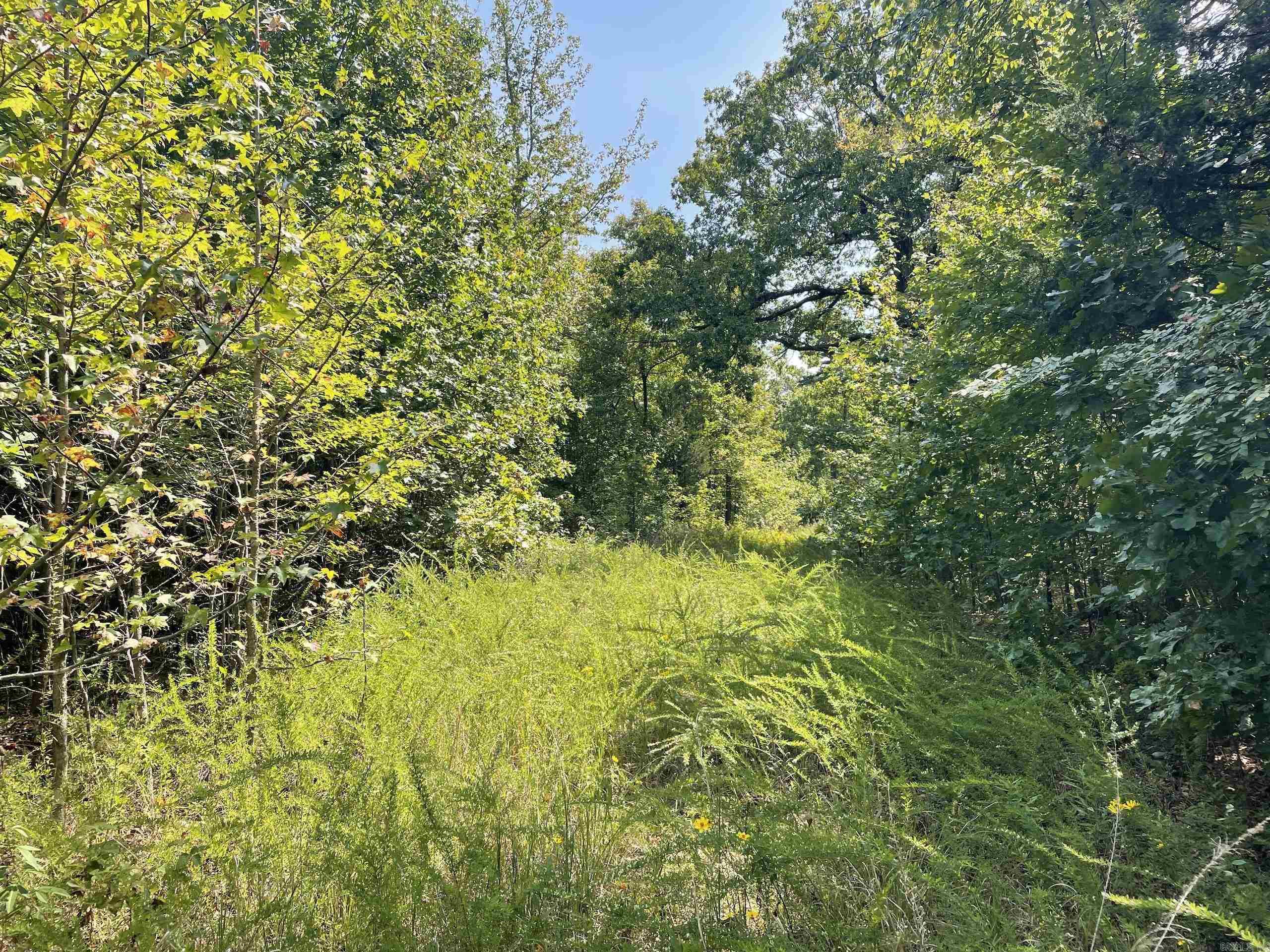 Not in Subdivision - Land